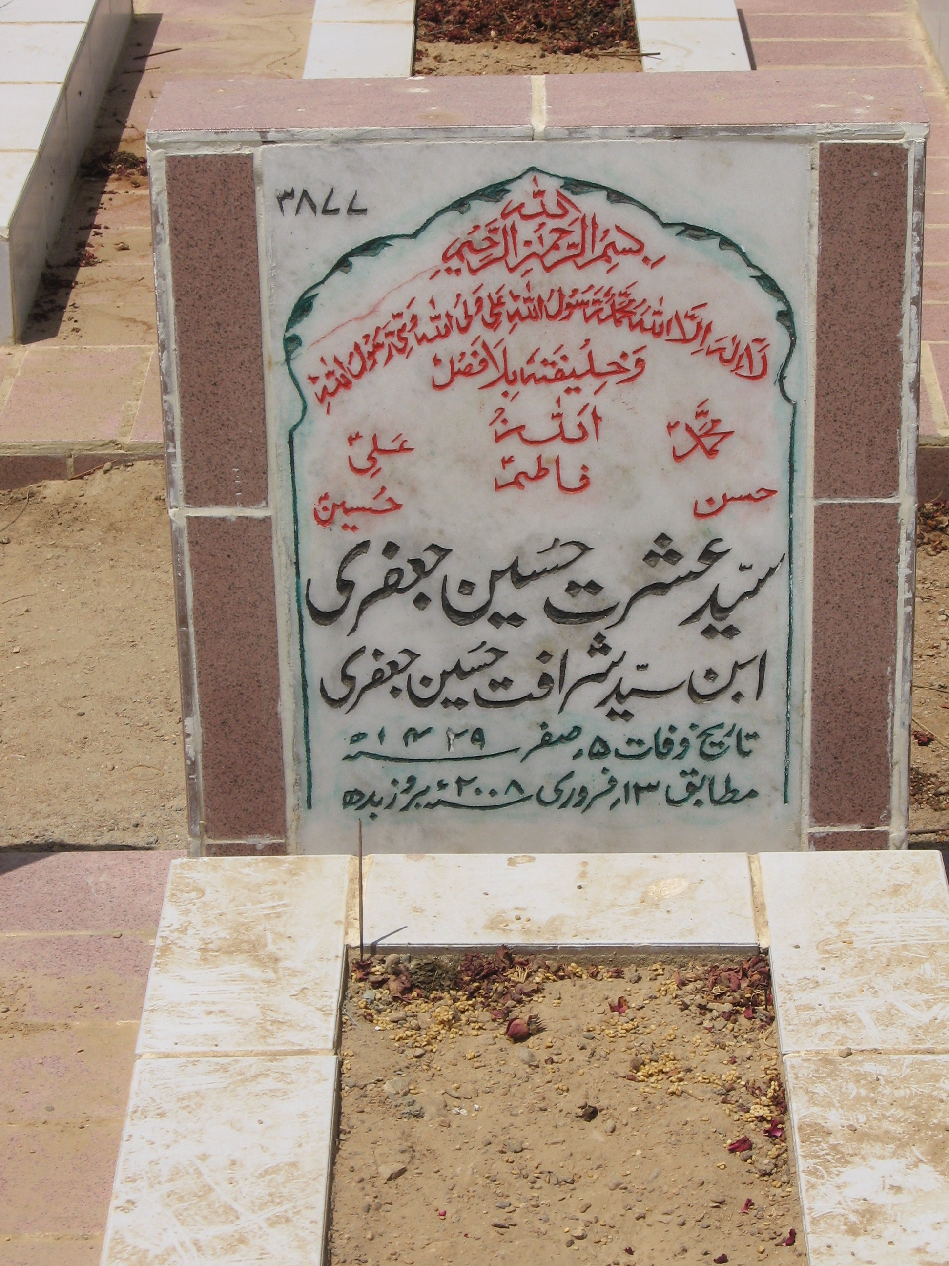 3877 – Syed Ishrat Hussain Jaffri