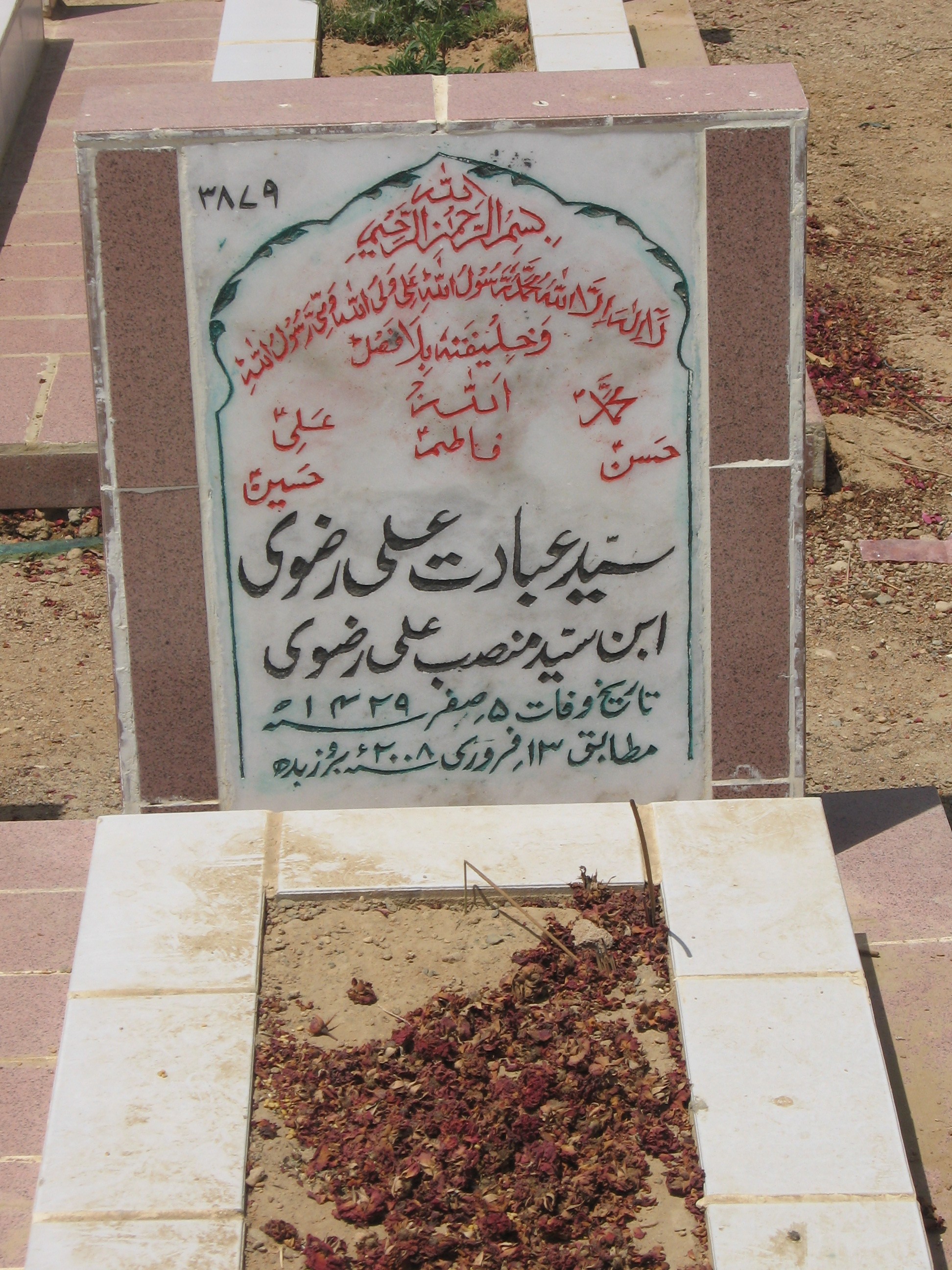 3879 – Syed Ibadat Ali Rizvi
