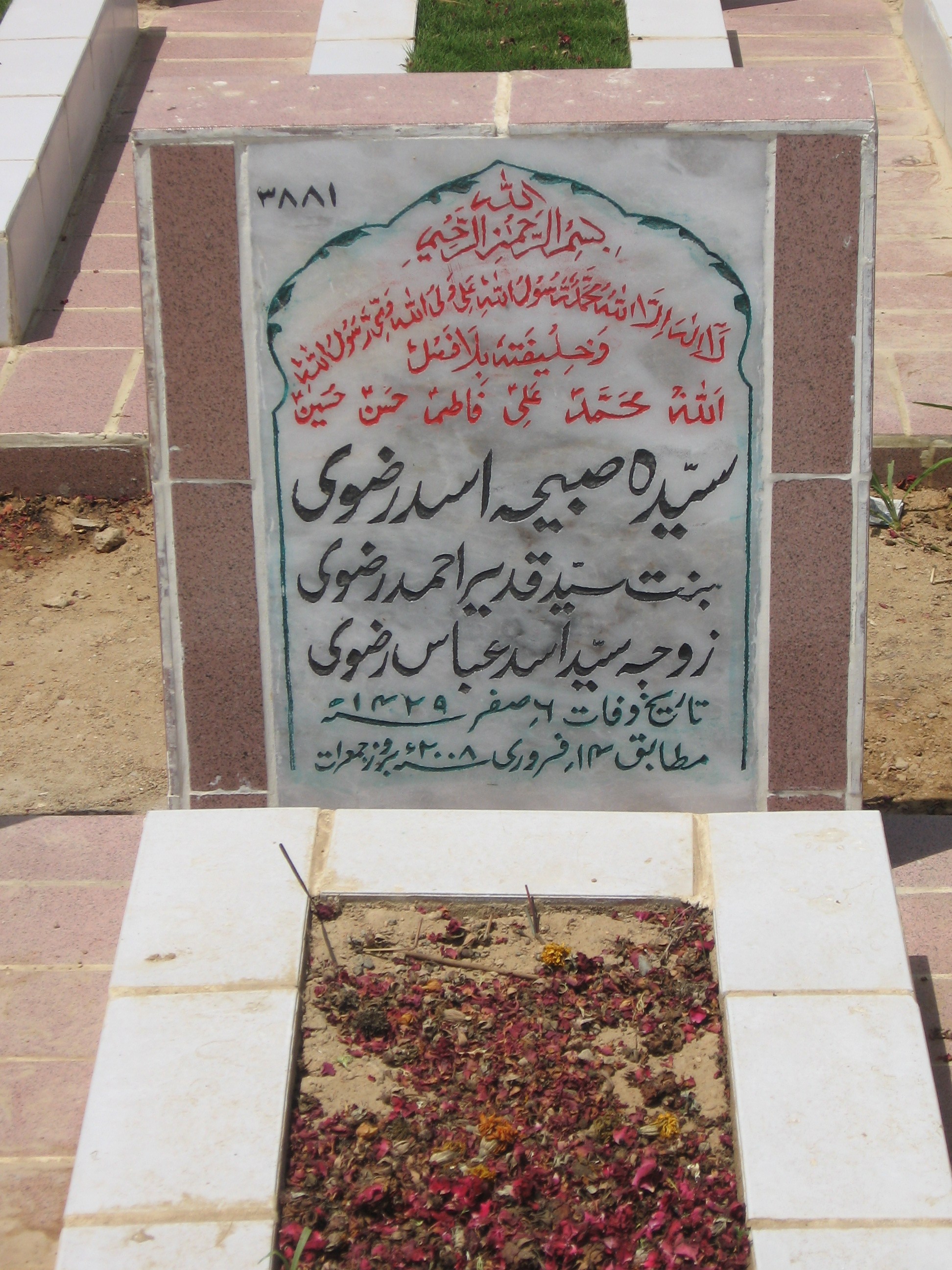 3881 – Syeda Sabiha Asad Rizvi