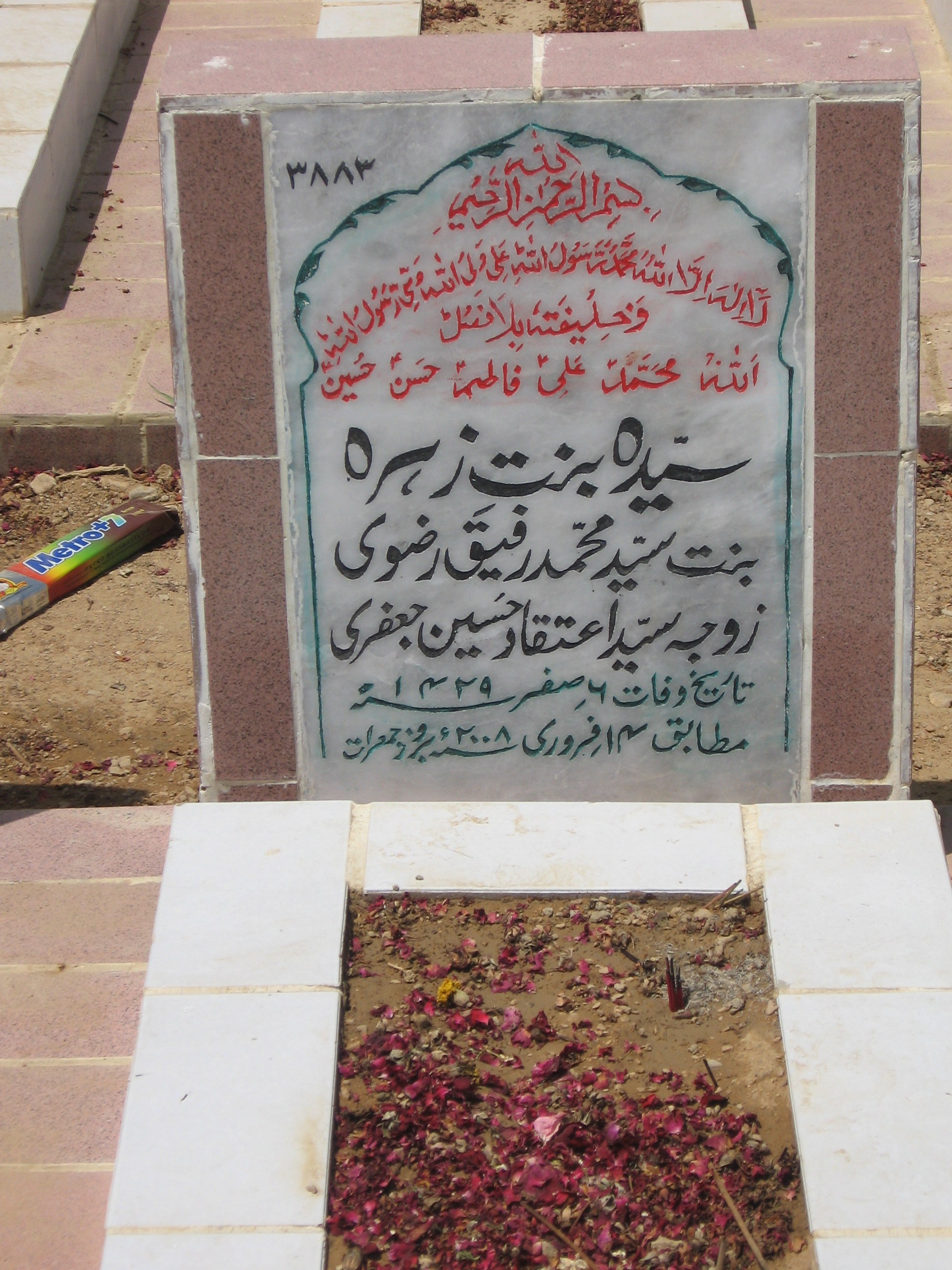 3883 – Syeda Bint-e-Zehra