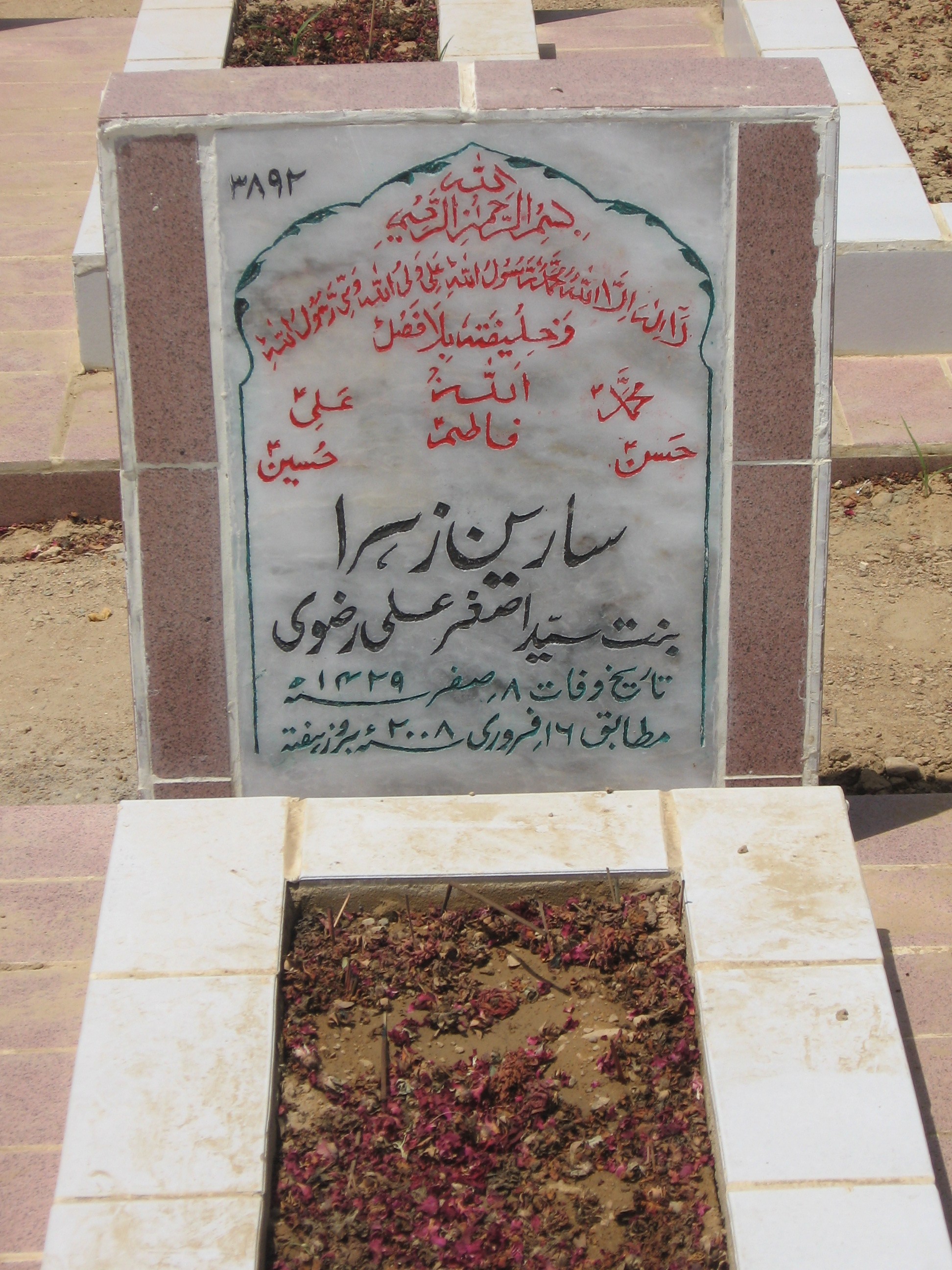 3892 – Sareen Zehra