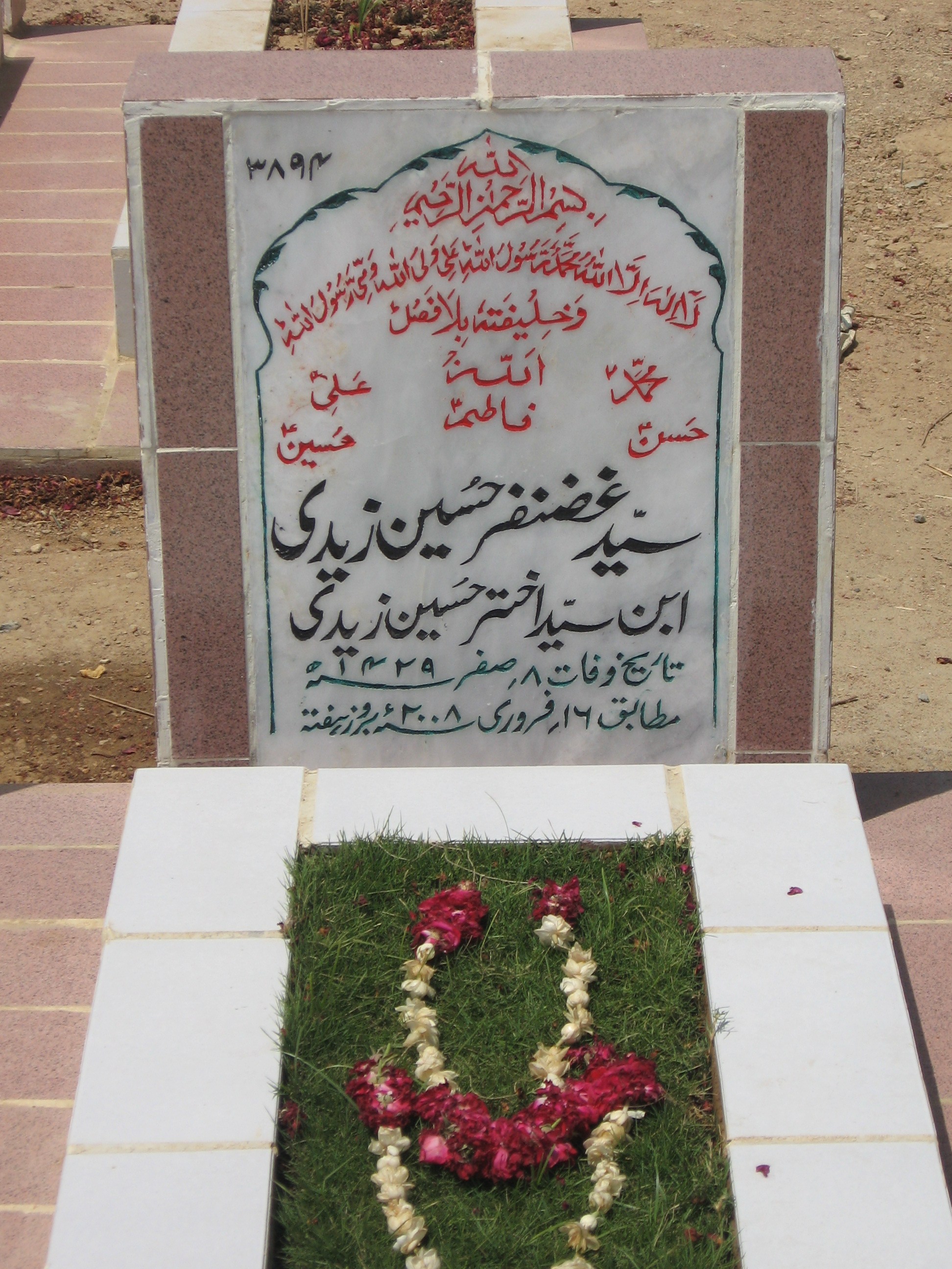 3894 – Syed Ghazanfar Hussain Zaidi