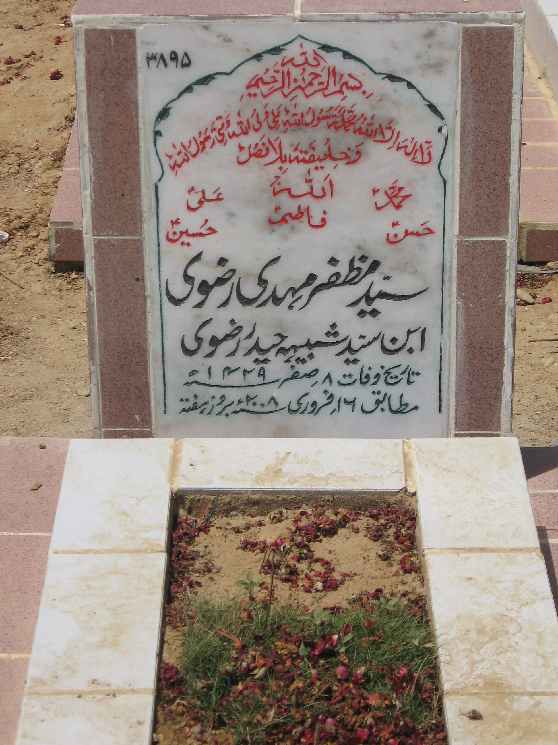 3895 – Syed Muzzafar Mehdi Rizvi