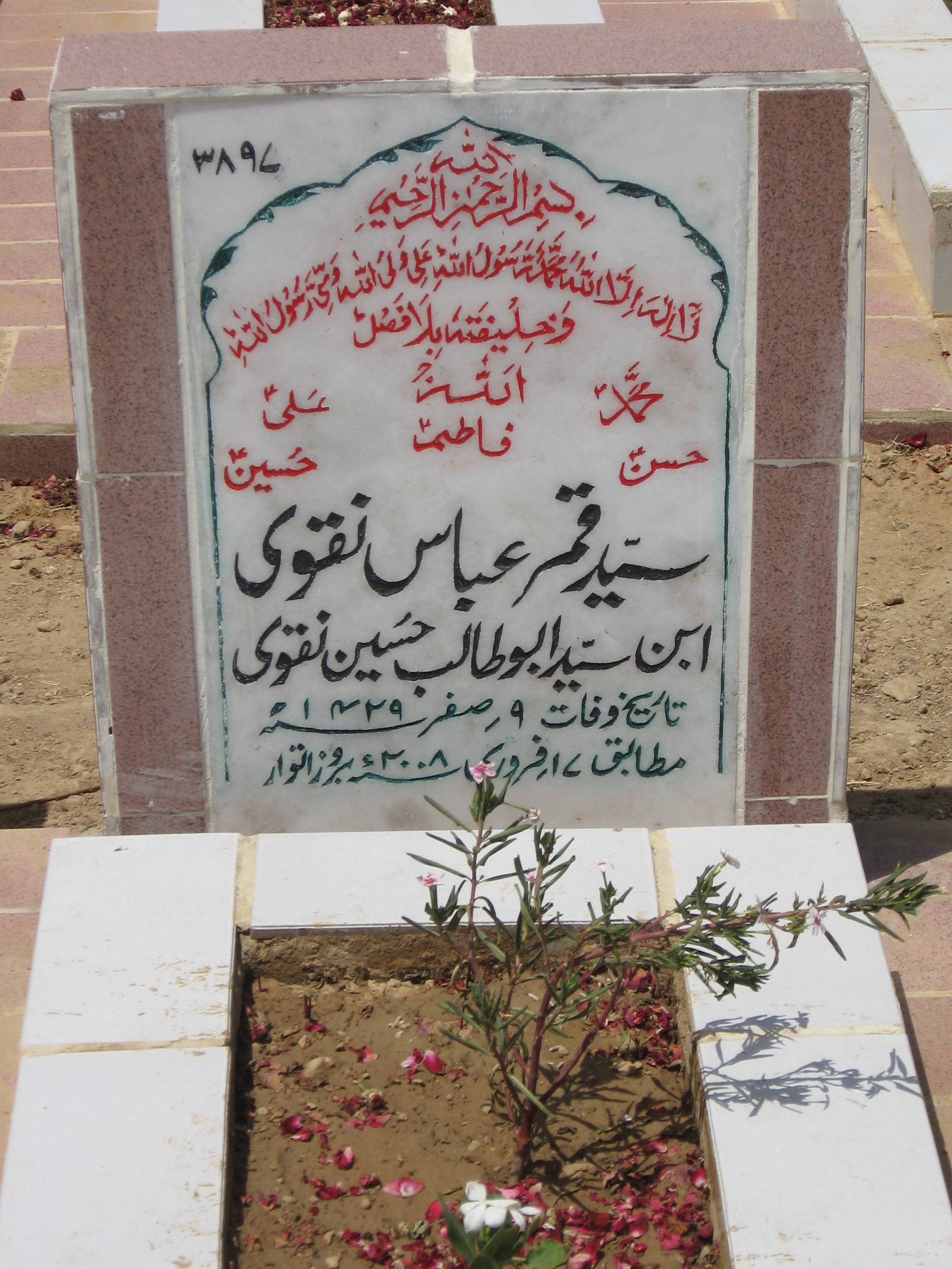 3897 – Syed Qamer Abbas Naqvi