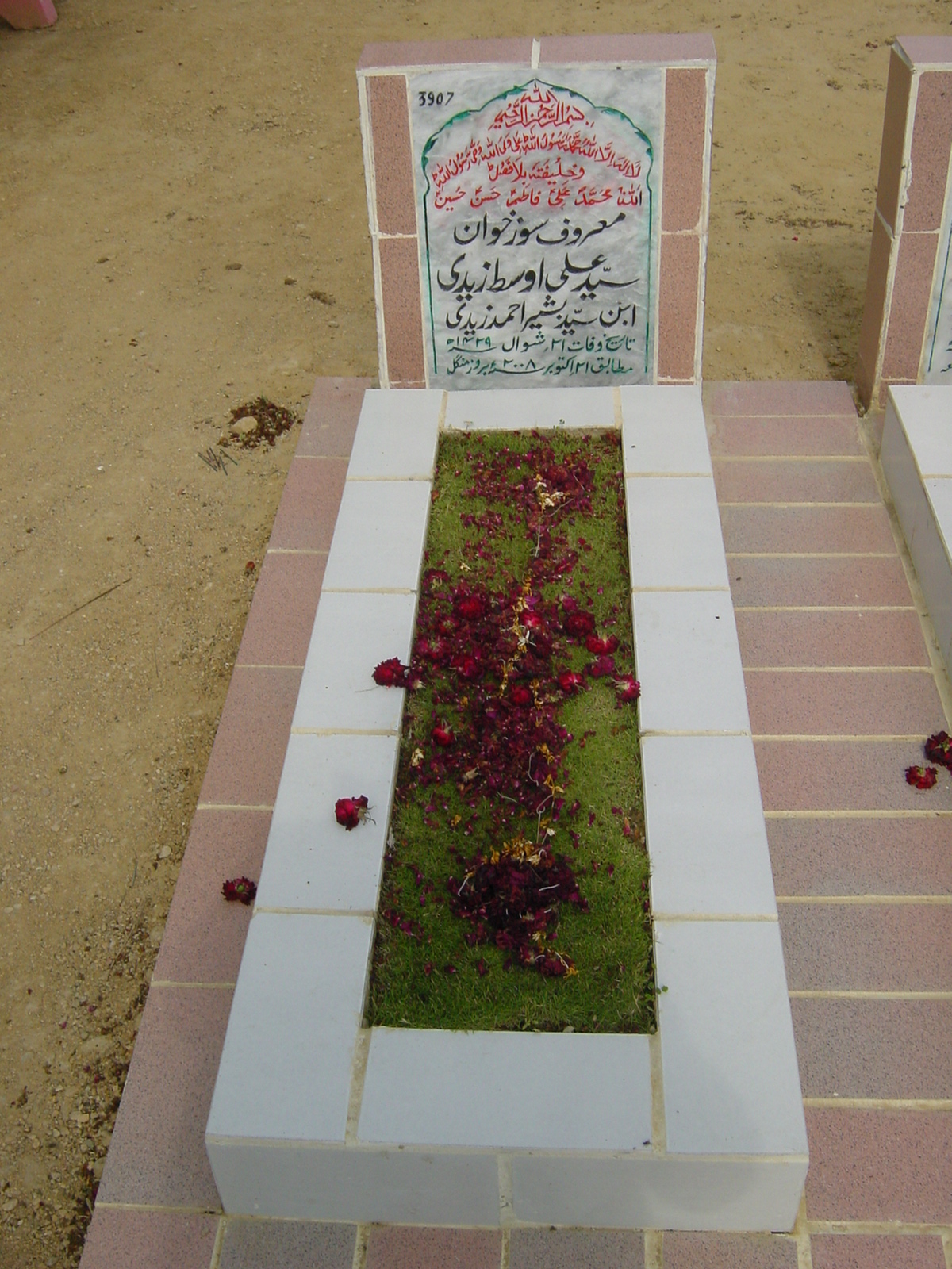 3907 – Syed Ali Ousat Zaidi