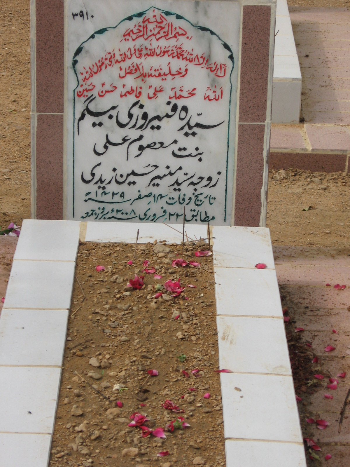 3910 – Syeda Feroze Beghum