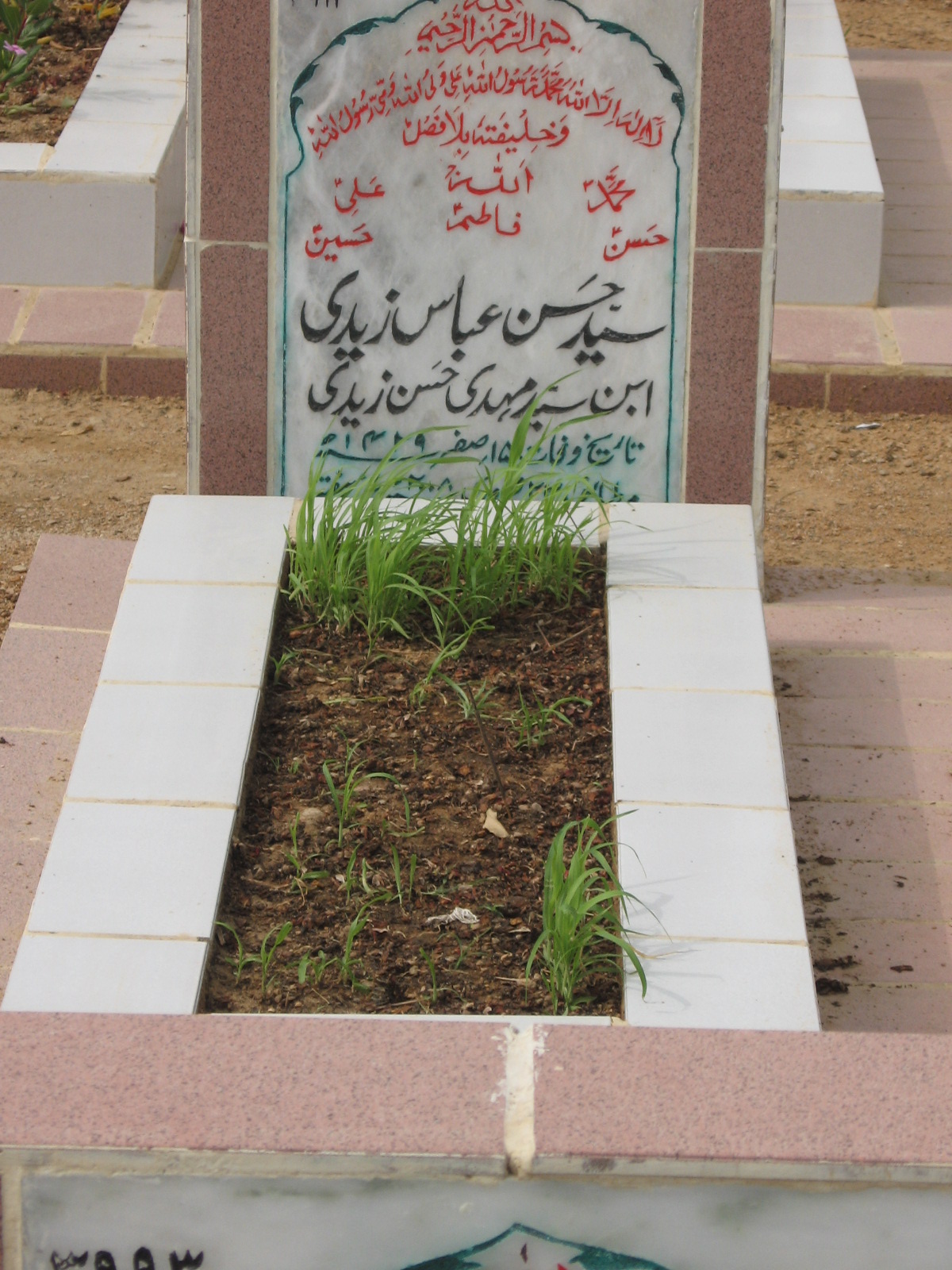 3912 – Syed Hasan Abbas Zaidi