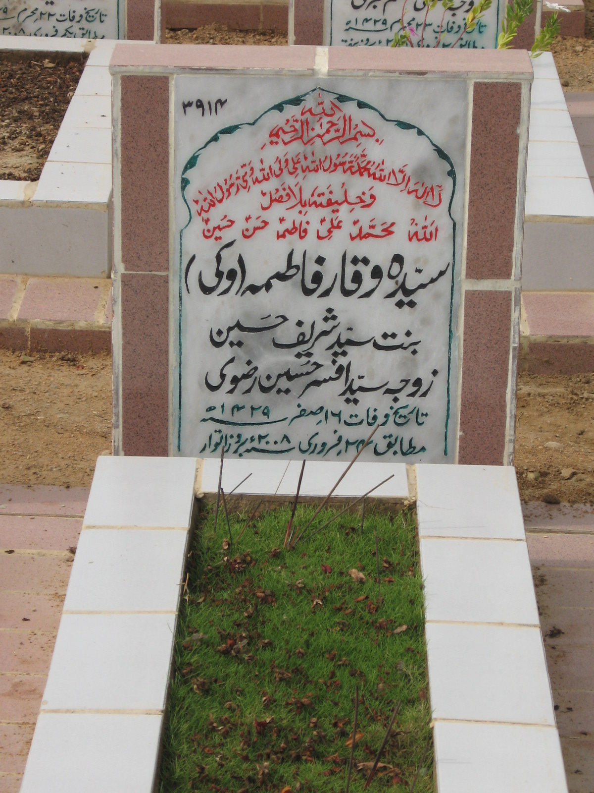 3914 – Syeda Waqar Fatima