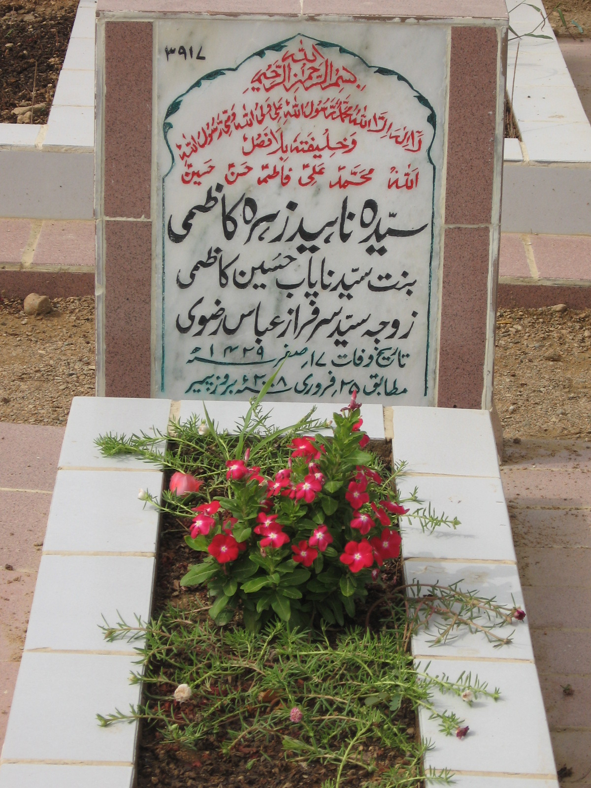 3917 – Syeda Naheed Zehra Kazmi