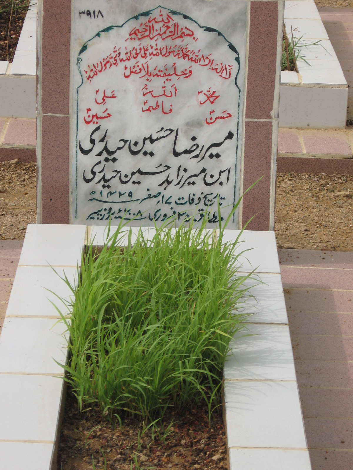 3918 – Mir Raza Hussain Hyderi