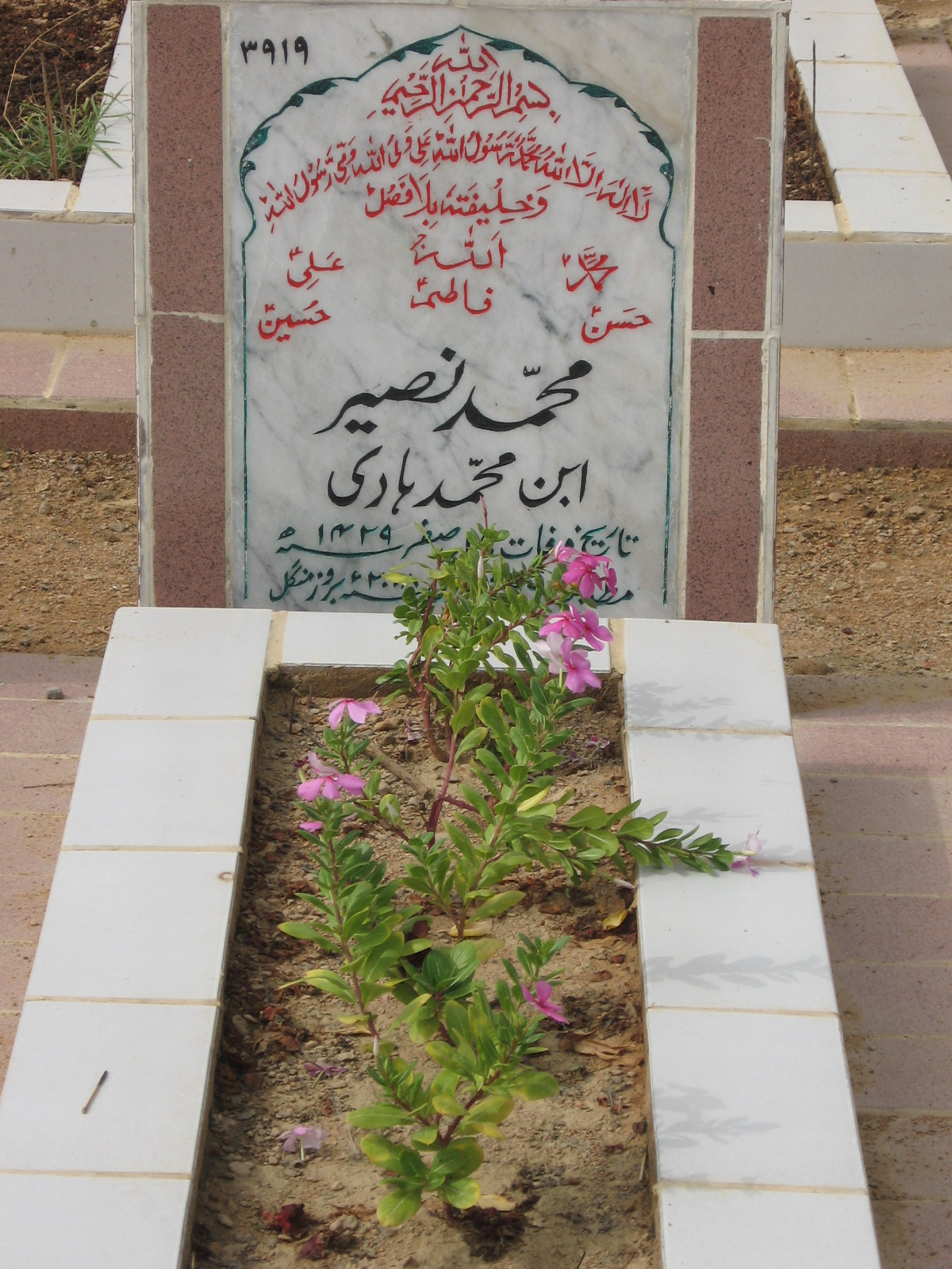 3919 – Mohammad Naseer