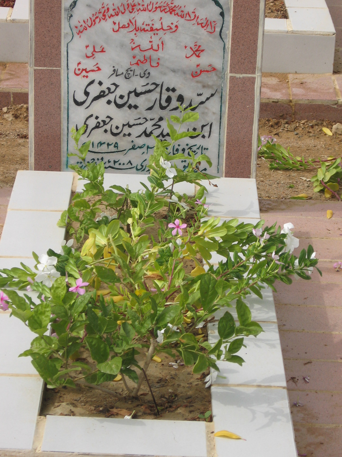 3924 – Syed Waqar Hussain Jaffar