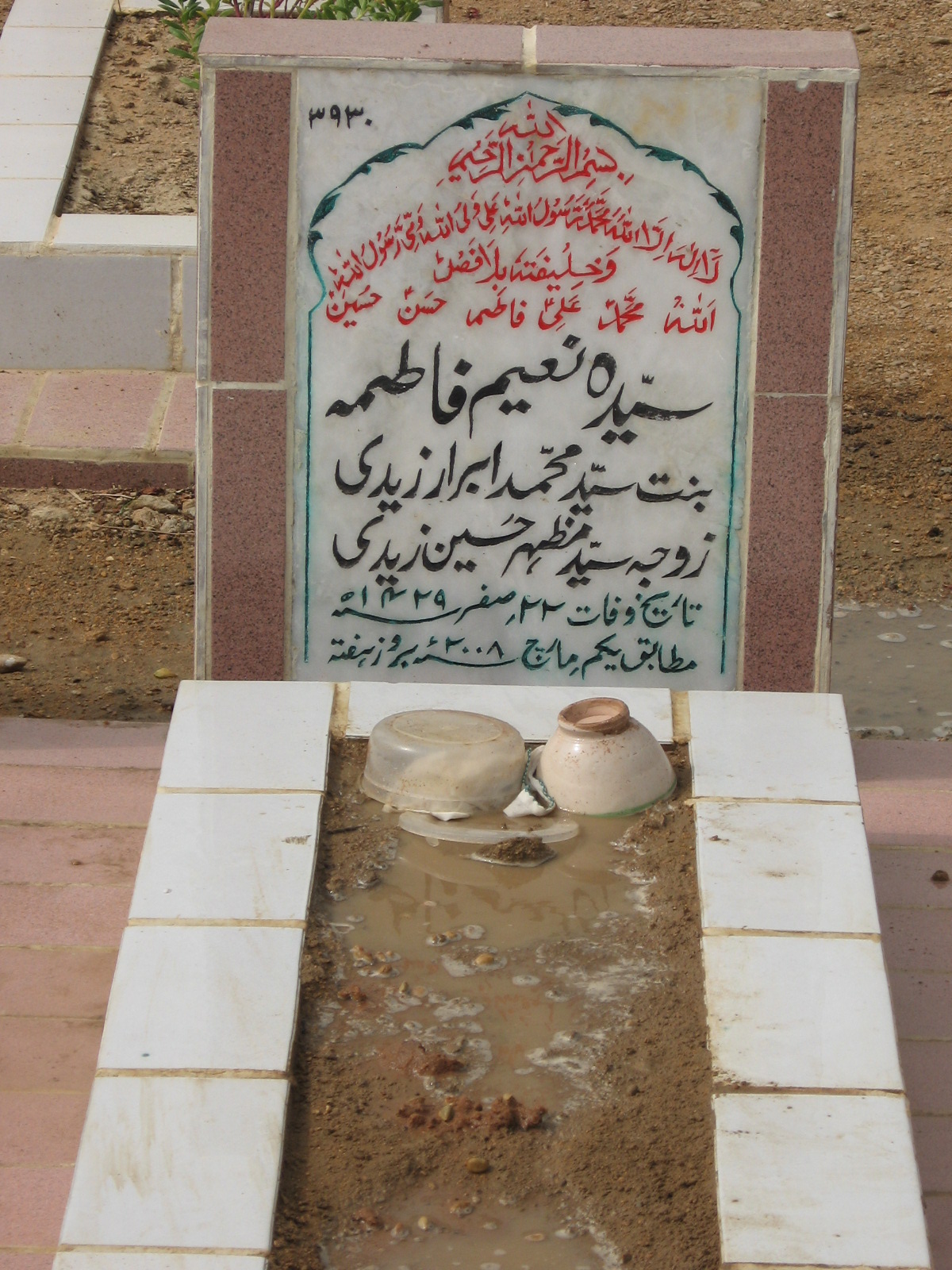 3930 – Syeda Naeem Fatima