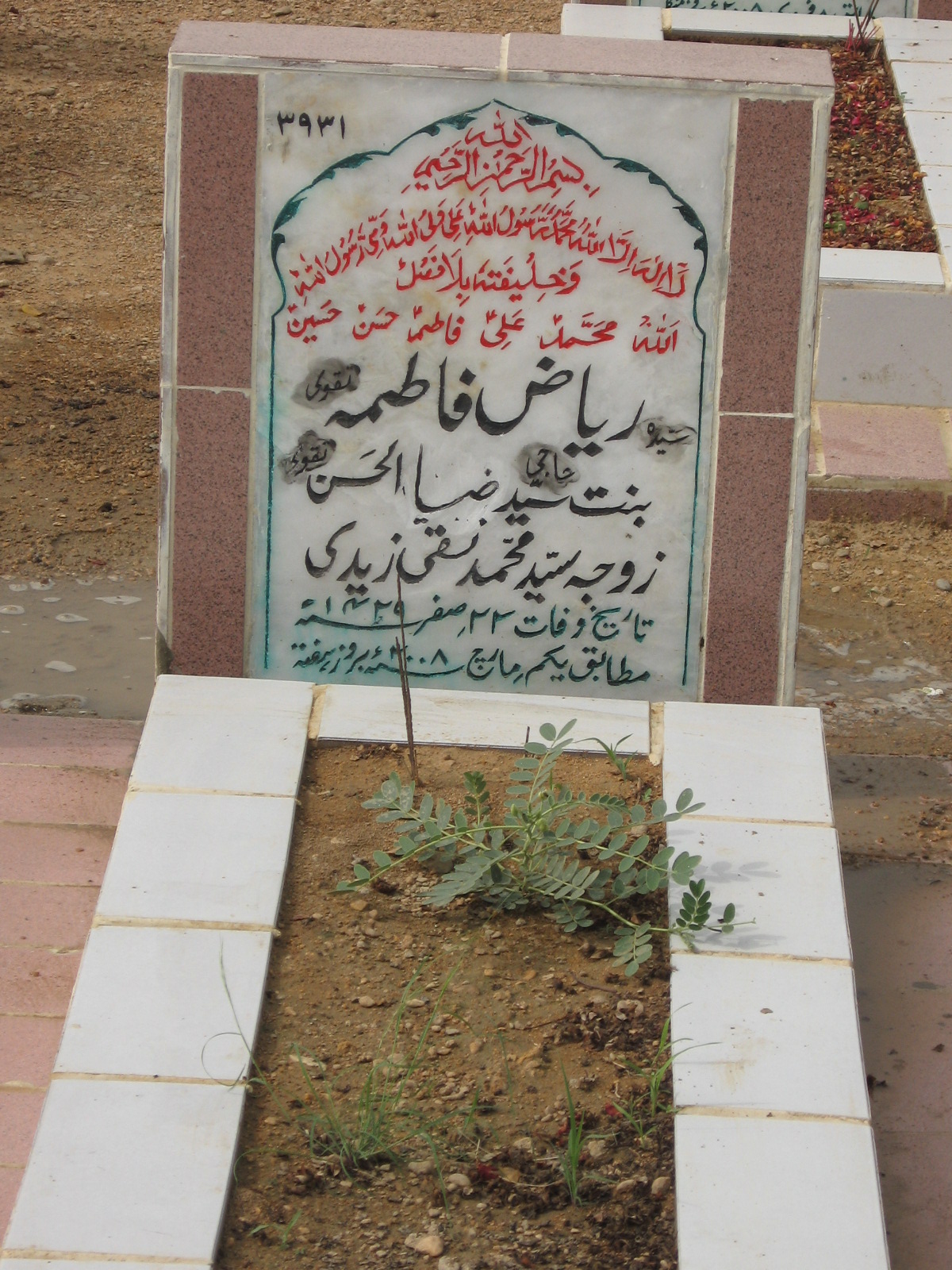 3931 – Riyaz Fatima