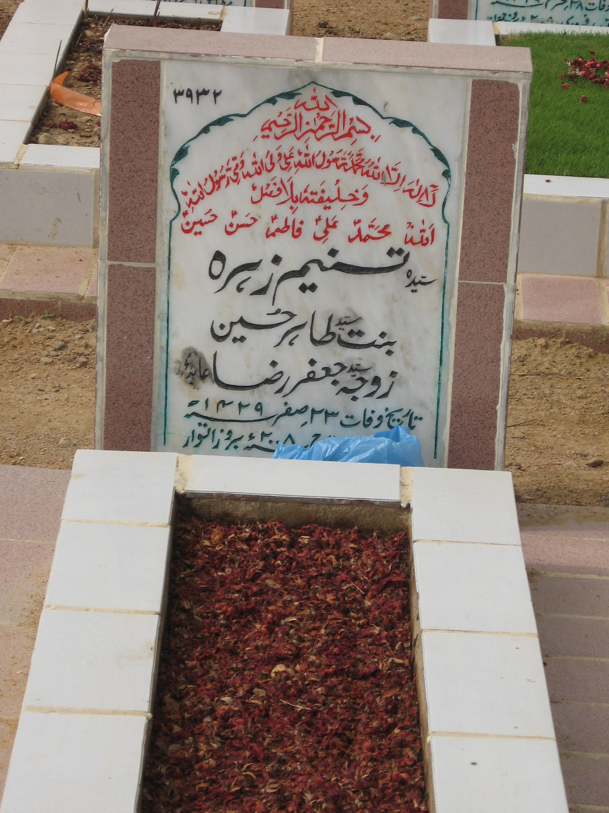 3932 – Tasneem Zehra