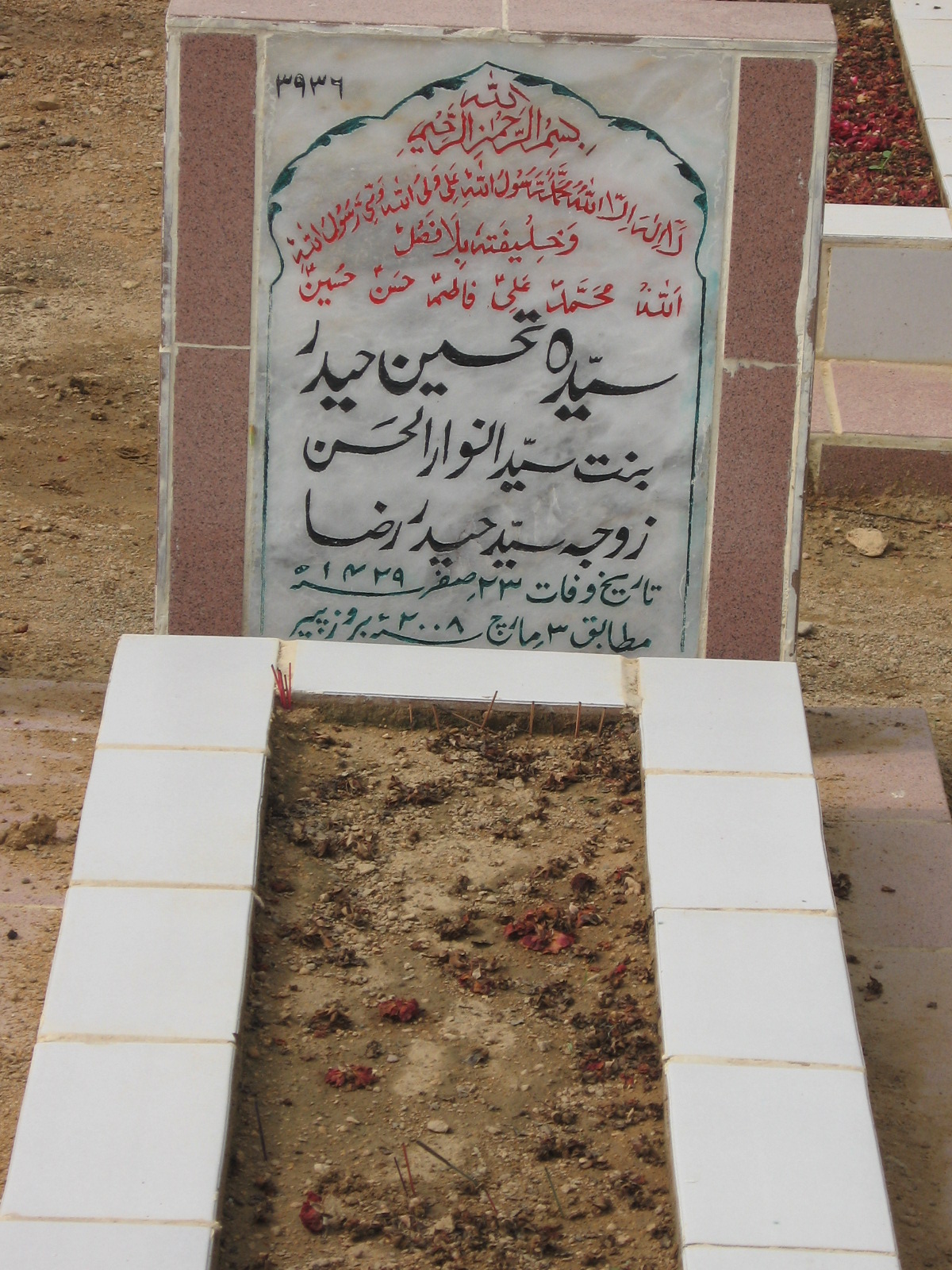 3936 – Syeda Tahsaan Haider