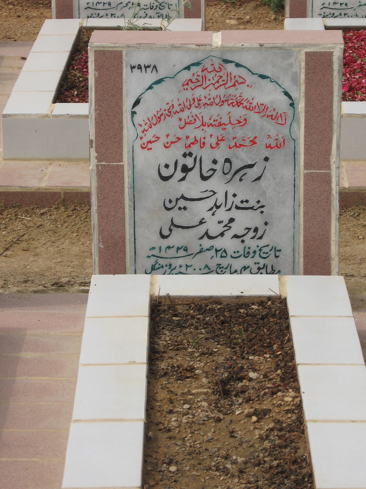 3938 – Syed Mohd Hasnain Rizvi