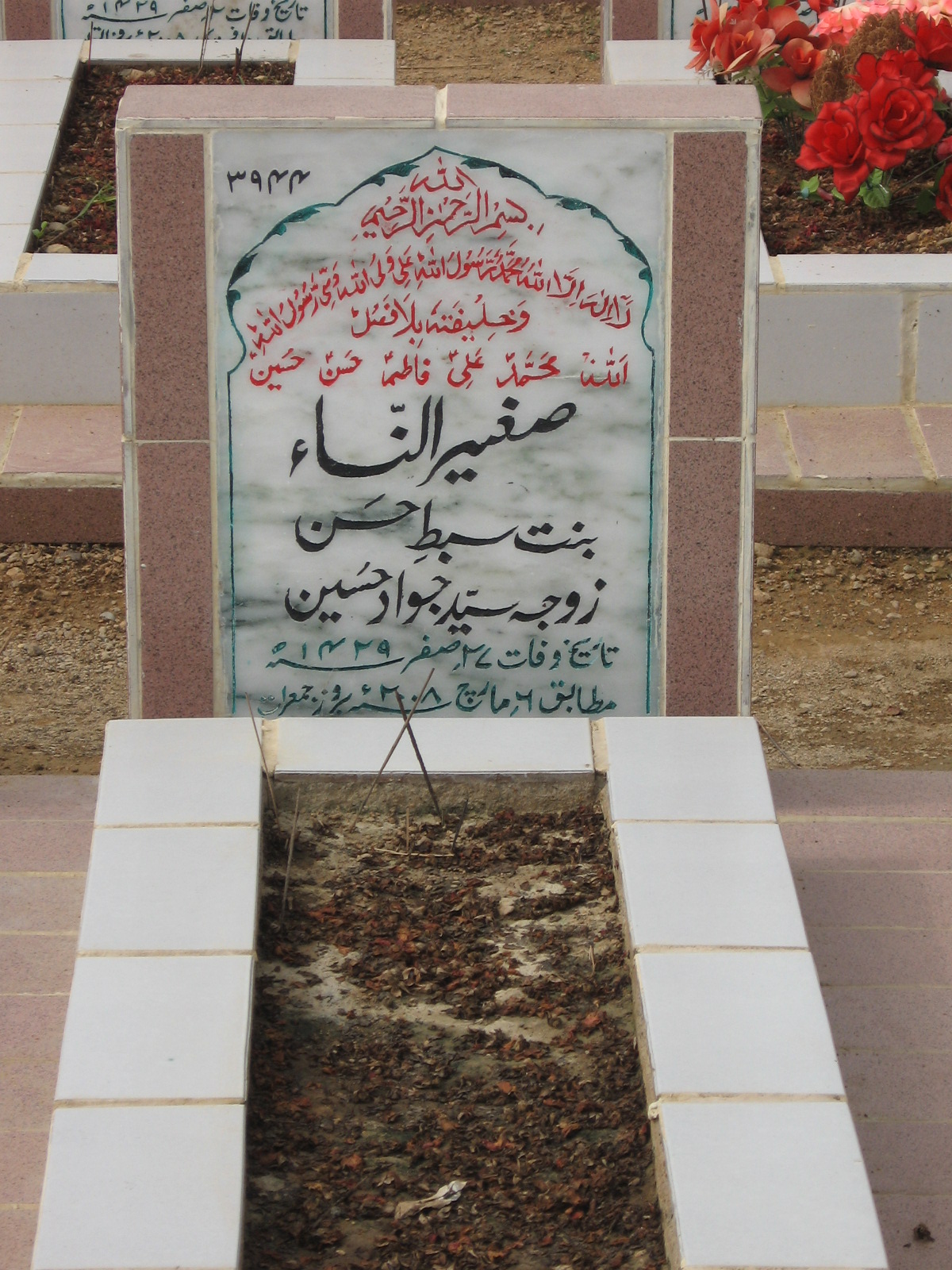 3944 – Sageer ul Nisa