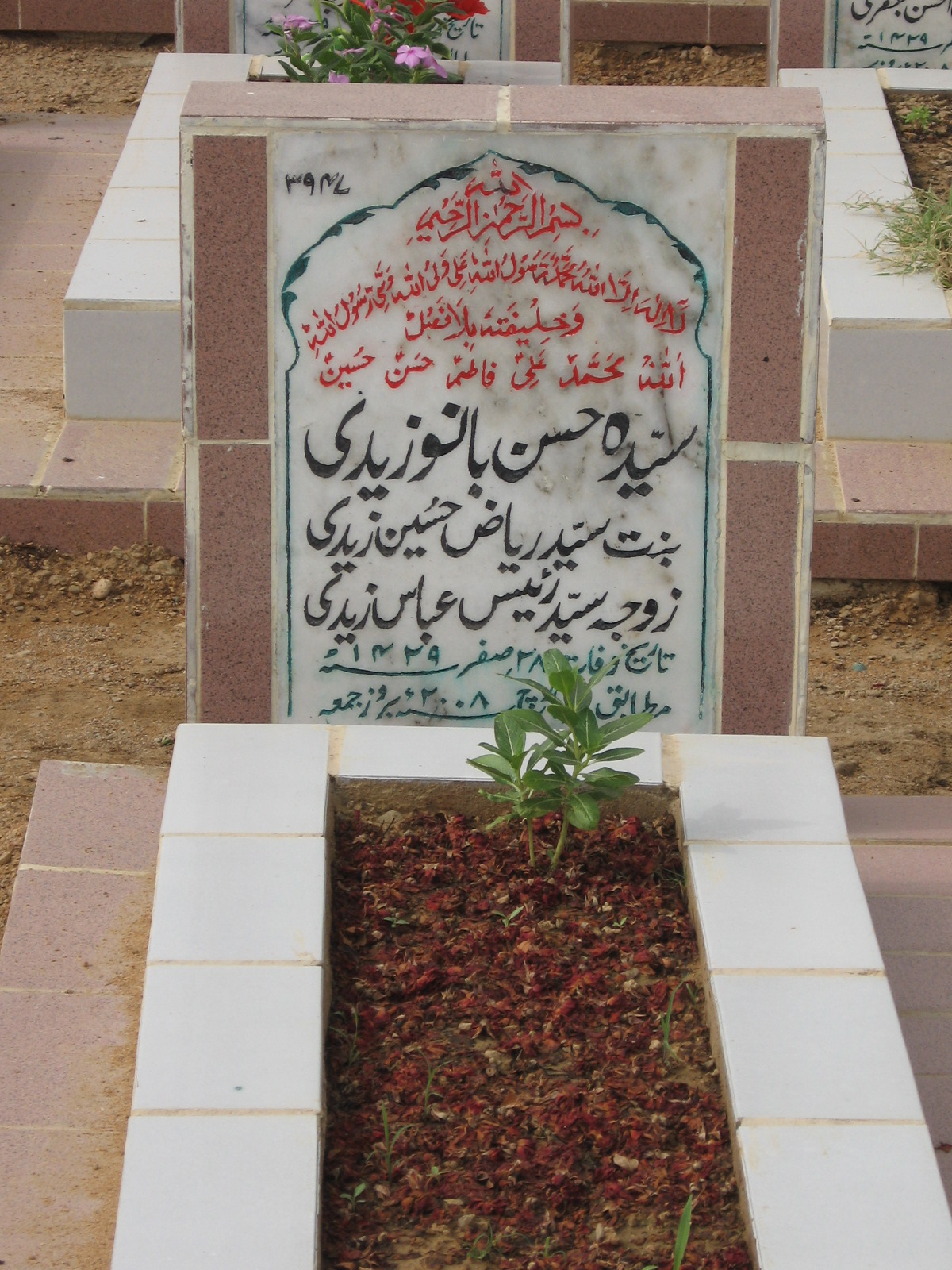 3947 – Syeda Hasan Bano Zaidi