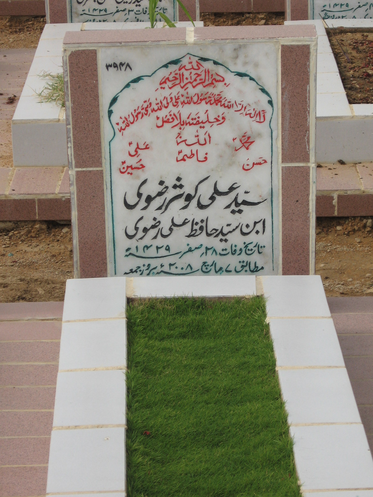 3948 – Syed Ali Kusar Rizvi