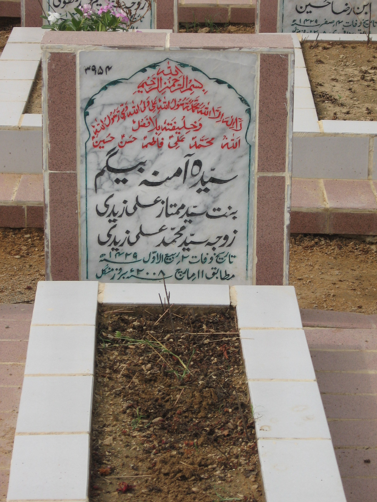 3954 – Syeda Amina Begum