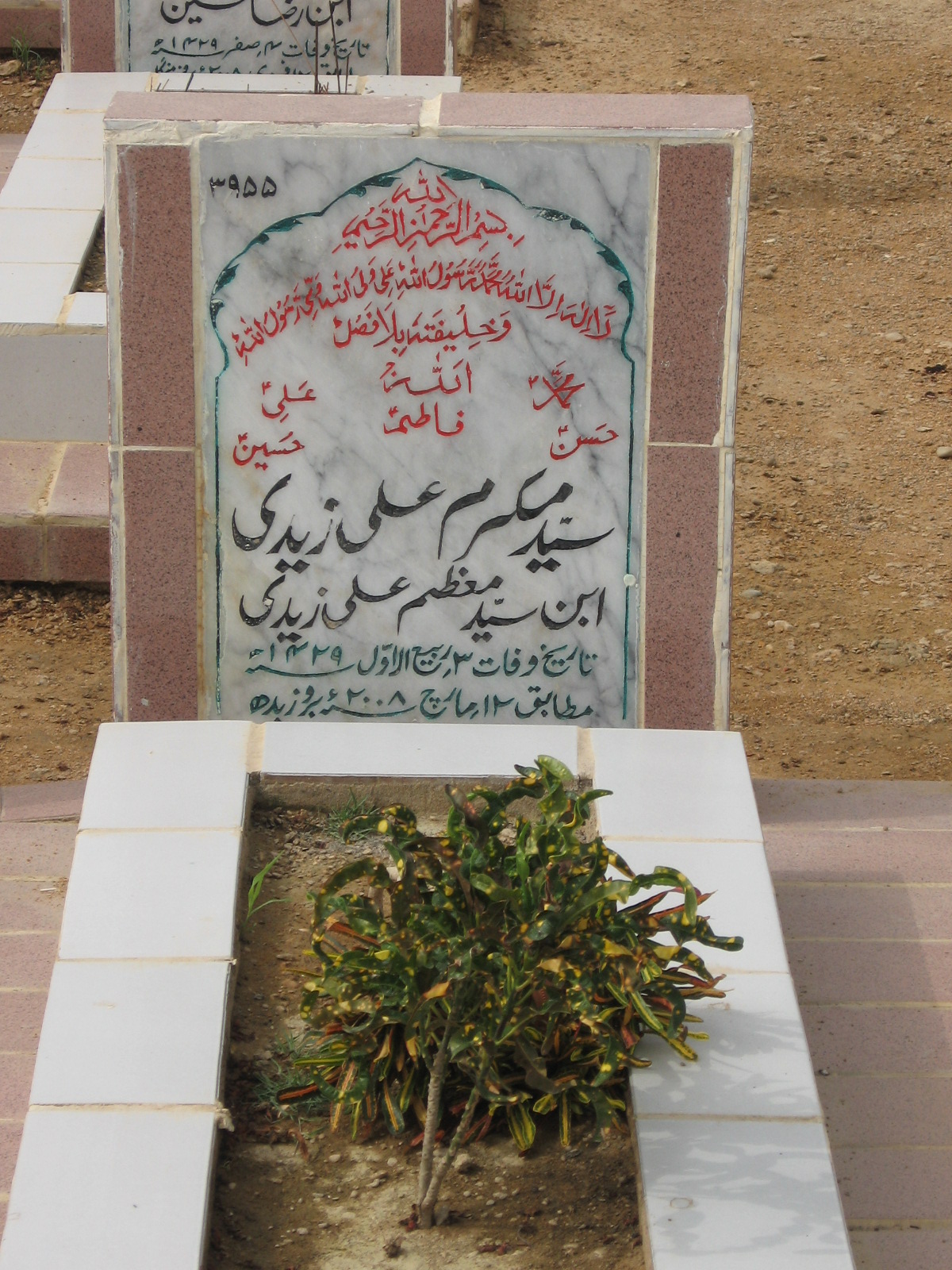 3955 – Syed Mukaram Ali Zaidi