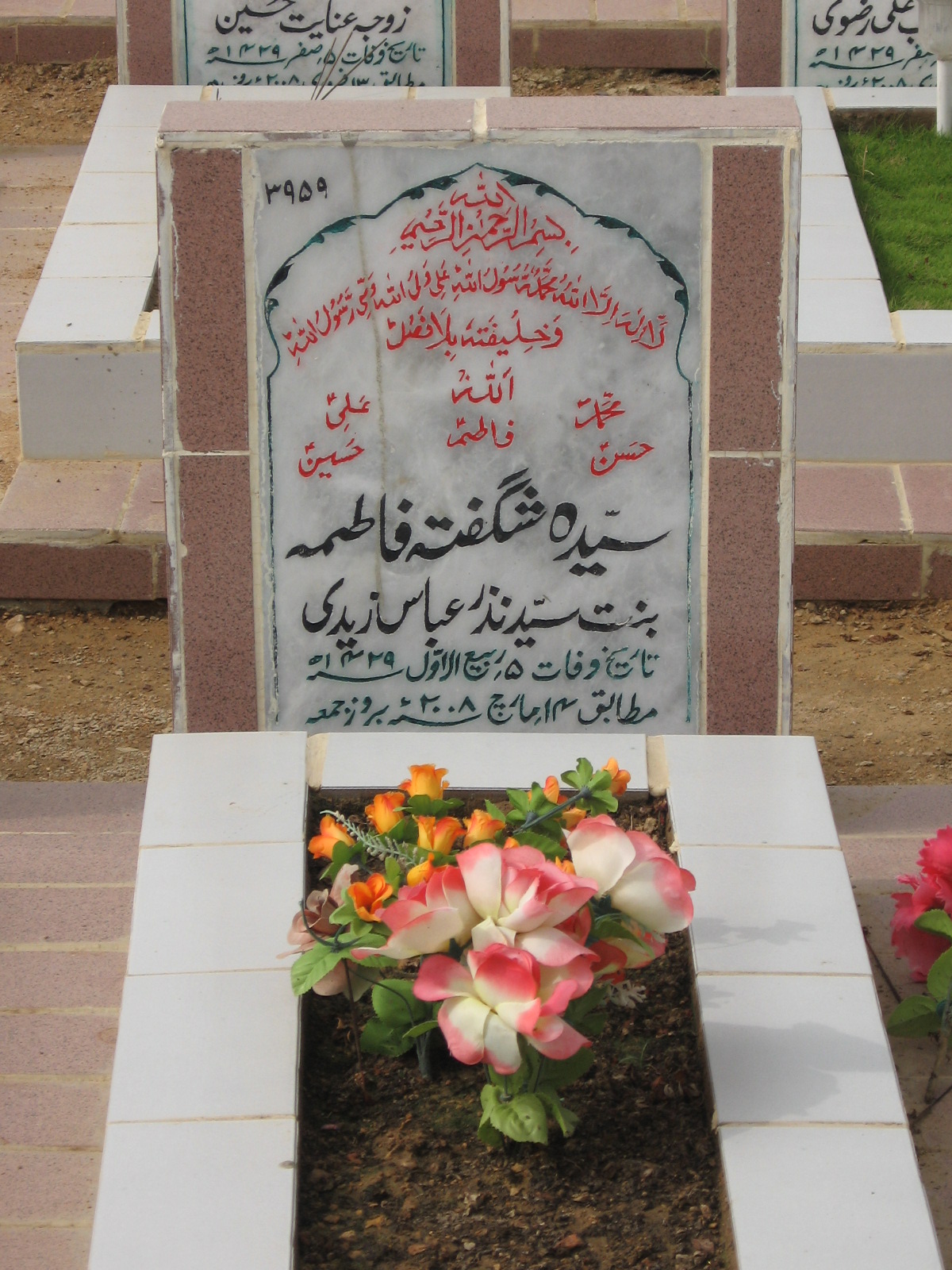 3959 – Syeda Shugufta Fatima