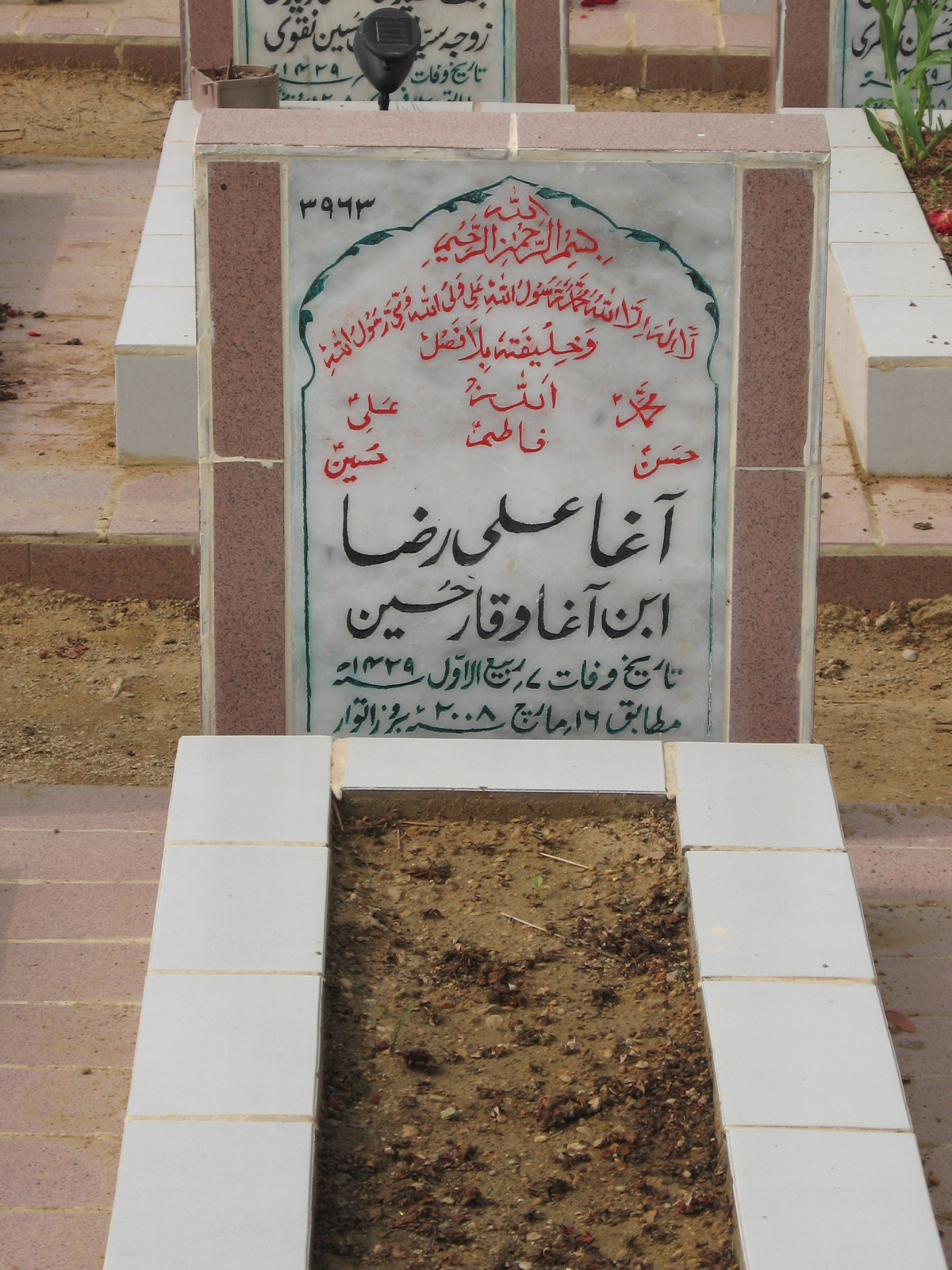 3963 – Agha Ali Raza