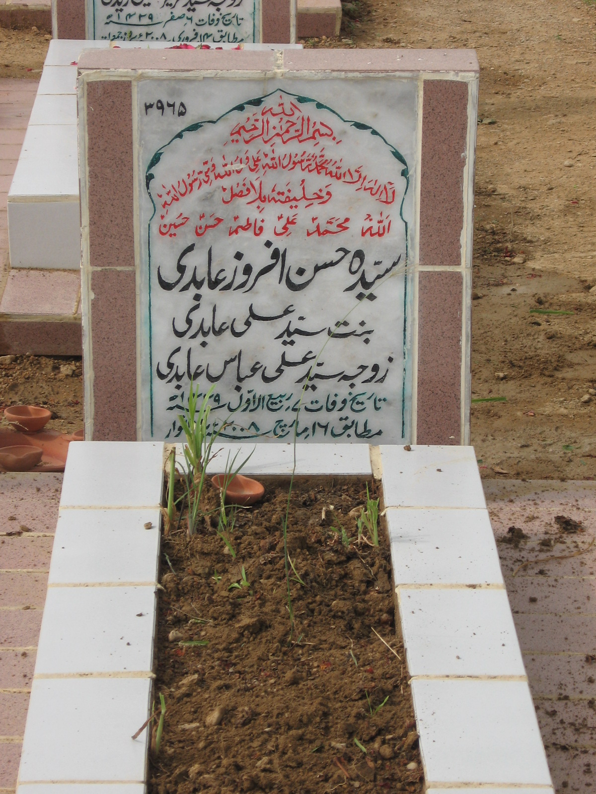 3965 – Syeda Hasan Afrooz Abidi