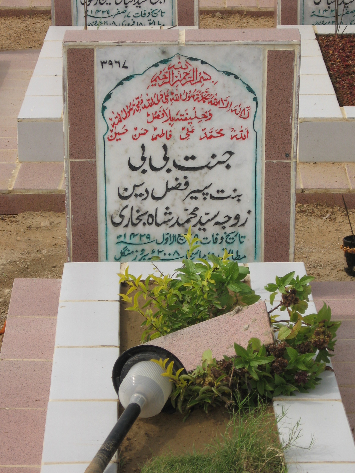 3967 – Jannat Bibi