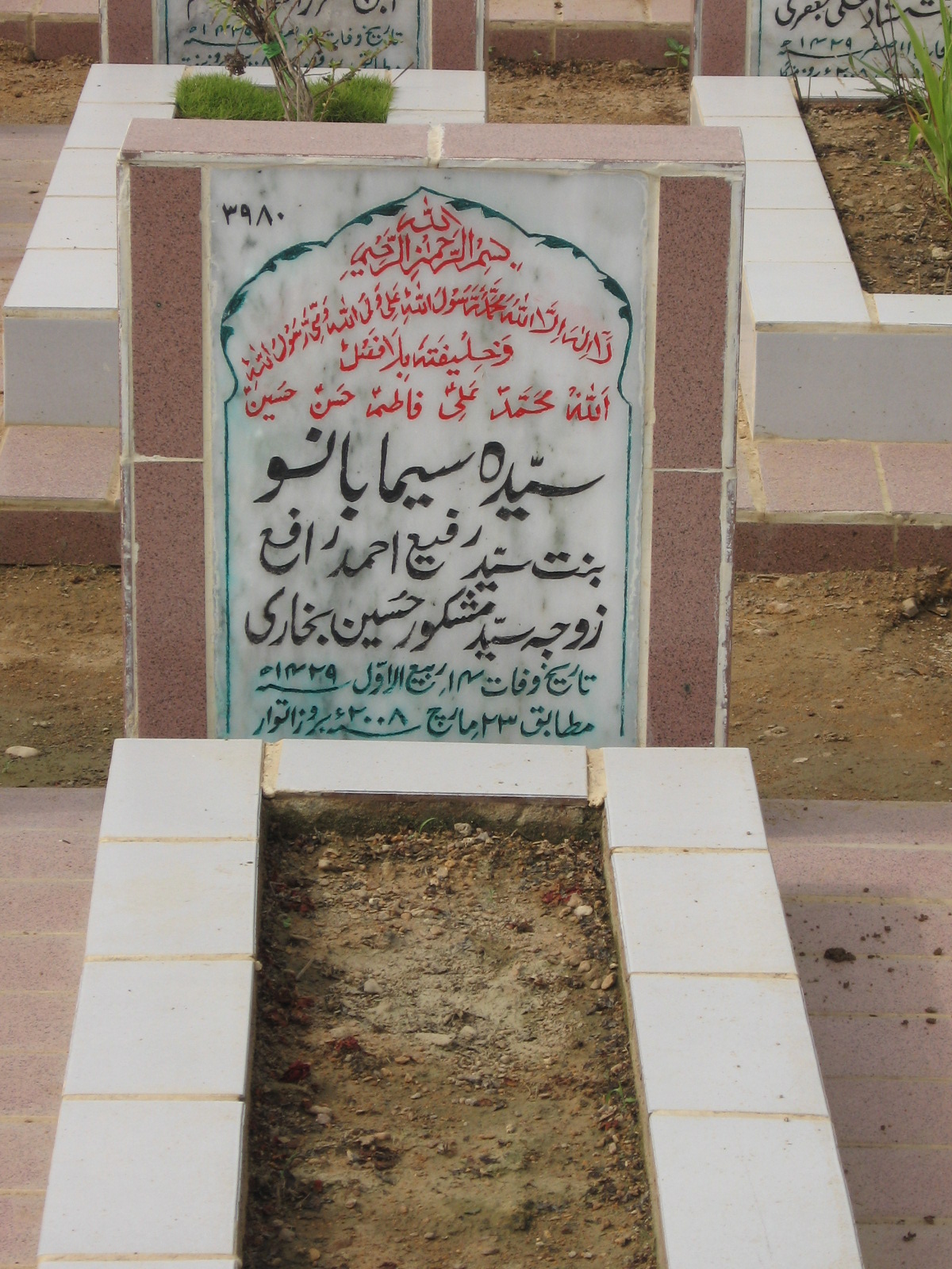3980 – Syeda Seema Bano