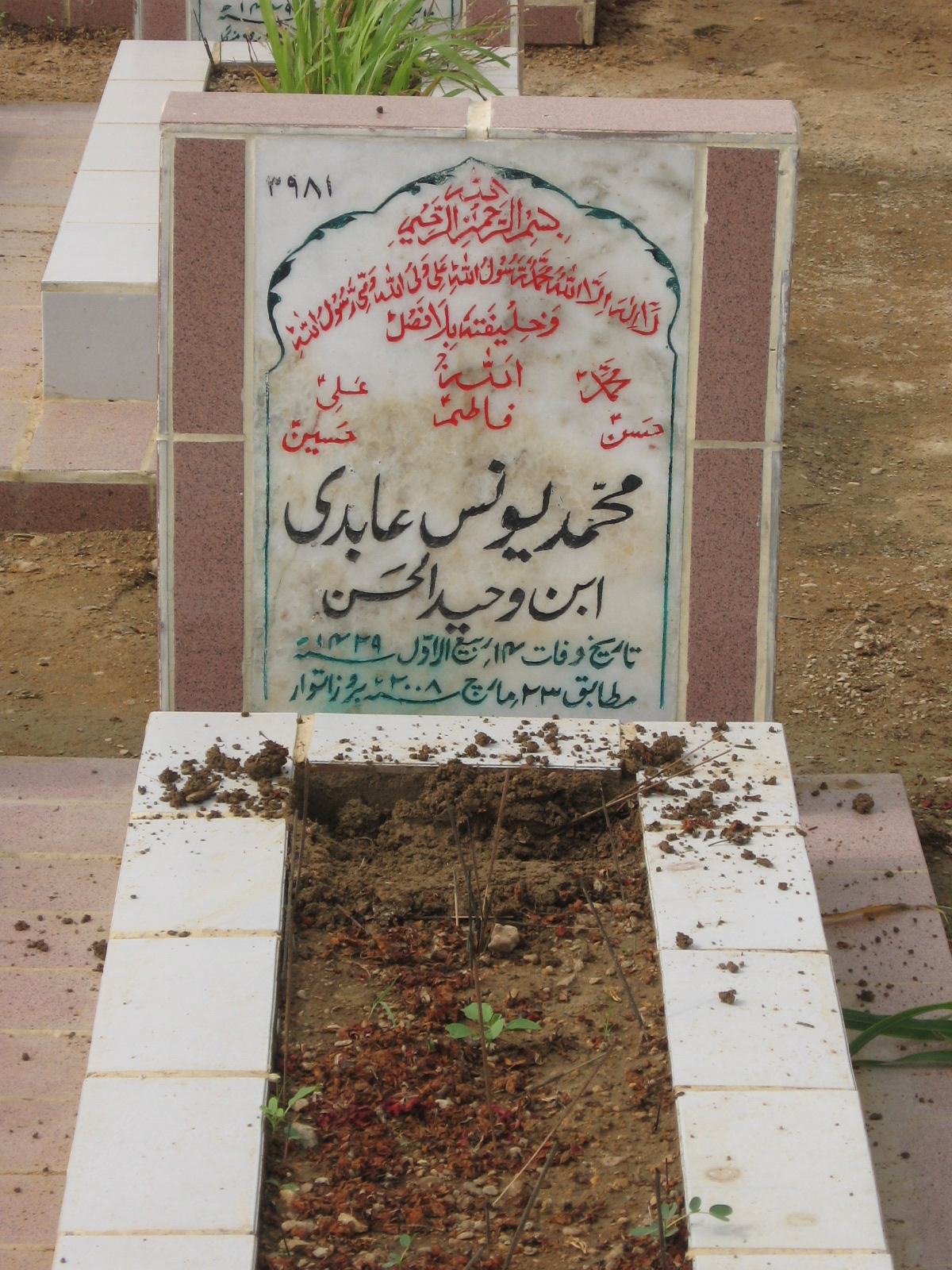 3981 – Mohammad Younus Abidi