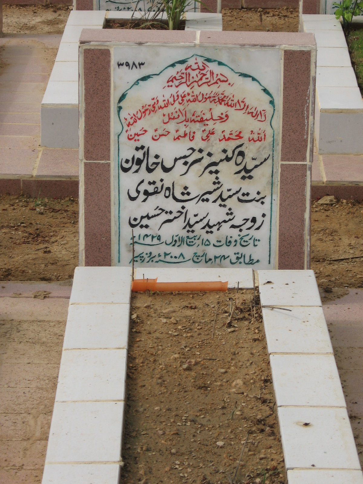 3983 – Syeda Kanees Narjis Khatoon