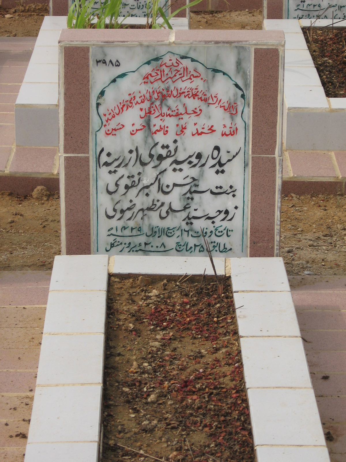 3985 – Syeda Roubina Naqvi