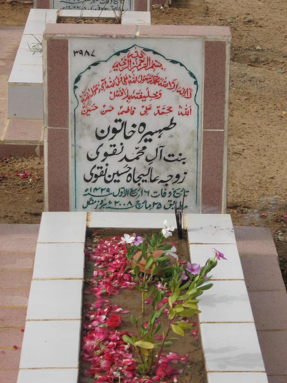 3987 – Tahira Khatoon