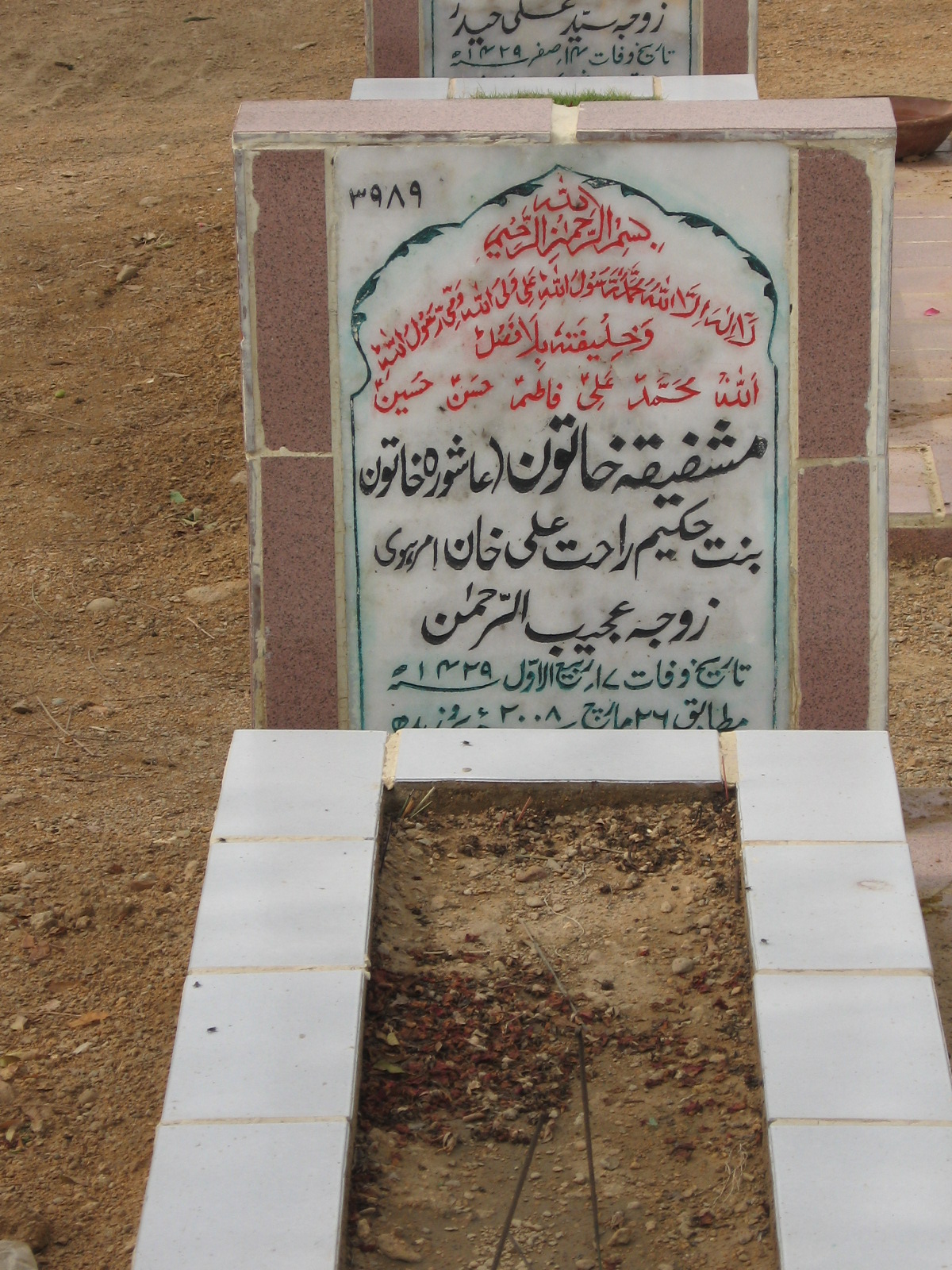 3989 – Mushzaheqa Khatoon