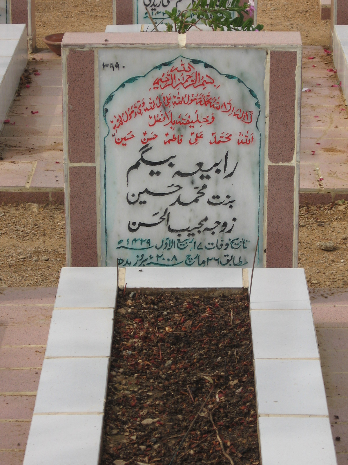 3990 – Rabia Begum