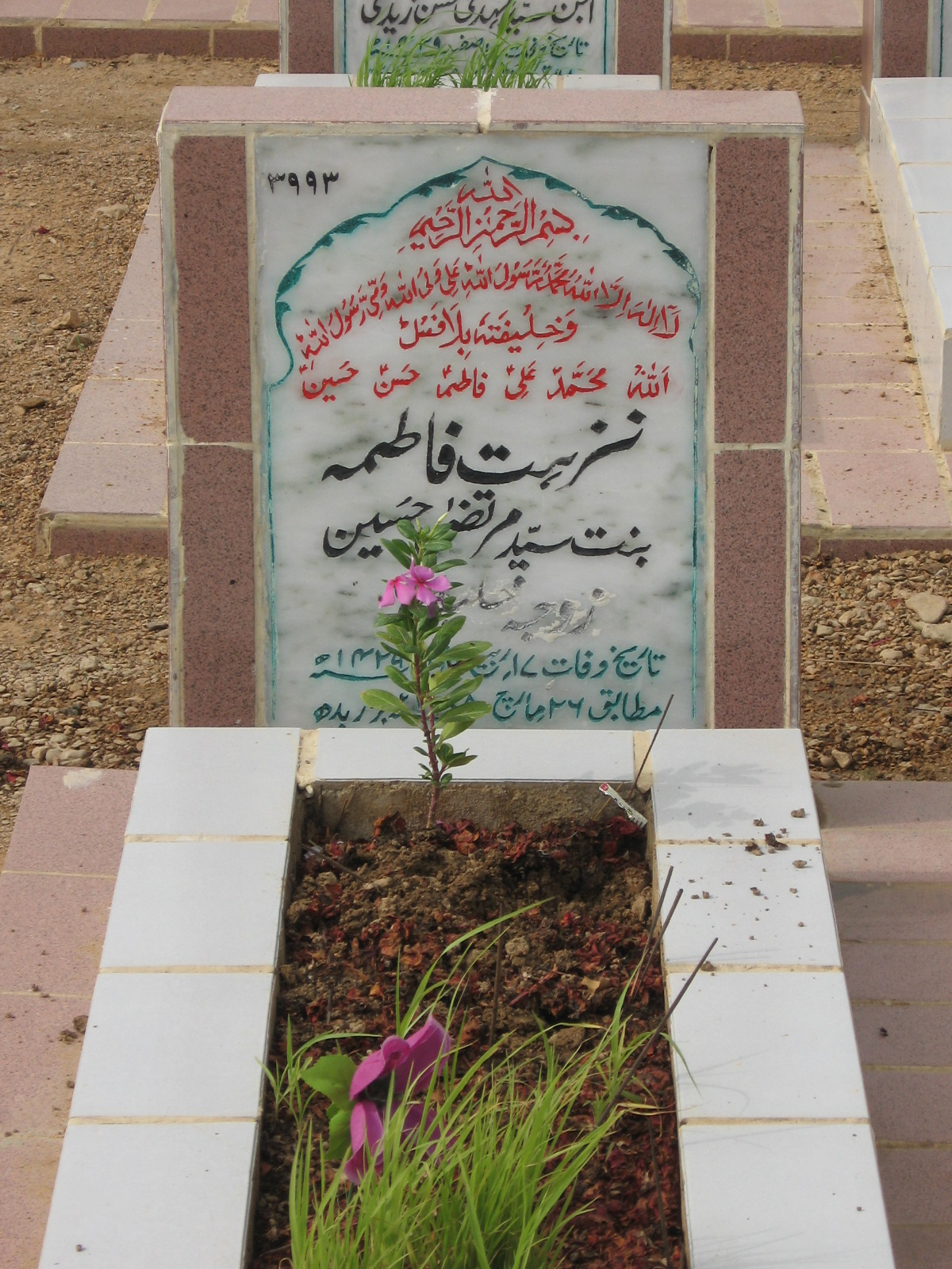 3993 – Nuzhar Zehra