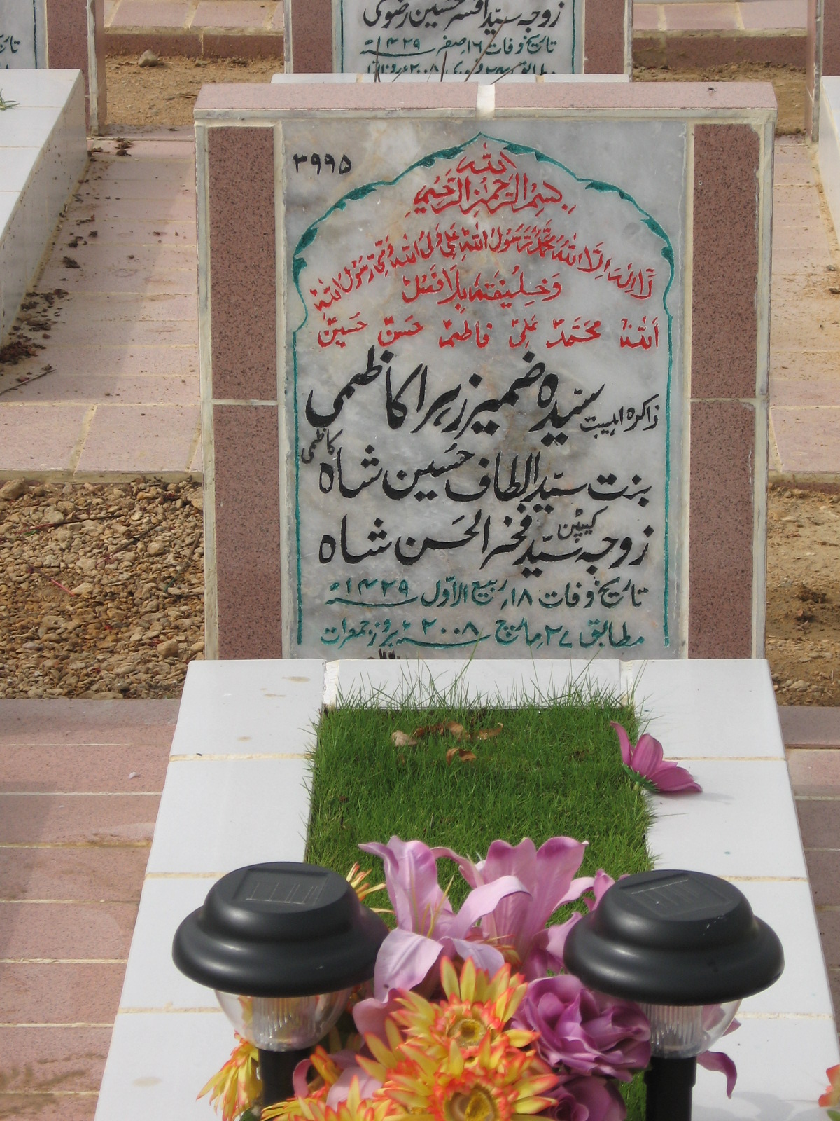 3995 – Syeda Zamir Zehra Kazmi