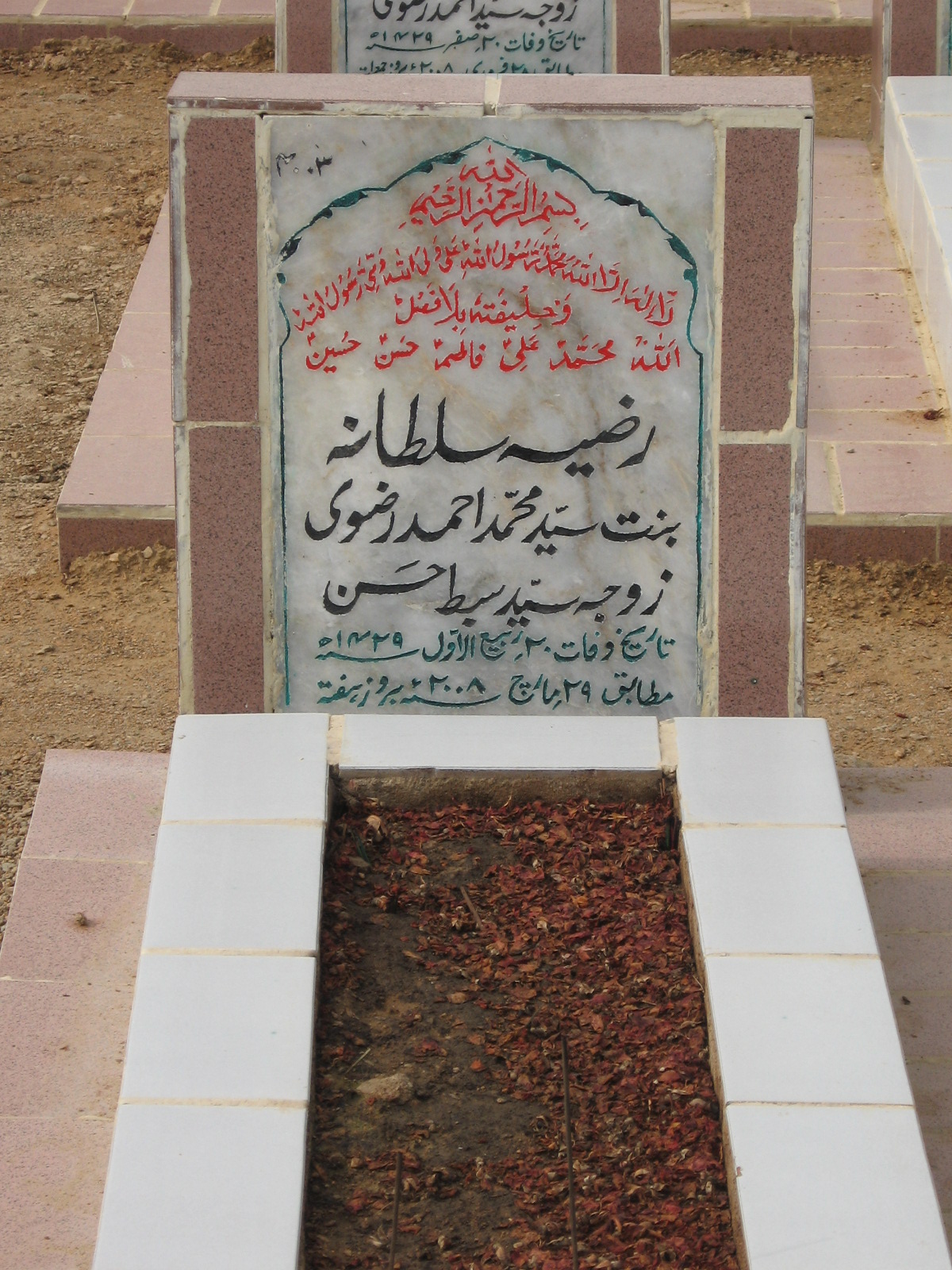 4003 – Razia Sultana