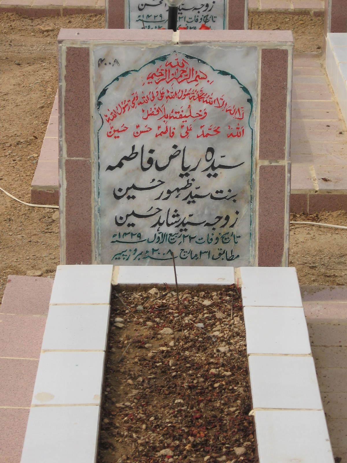 4008 – Syeda Riyaz Fatima