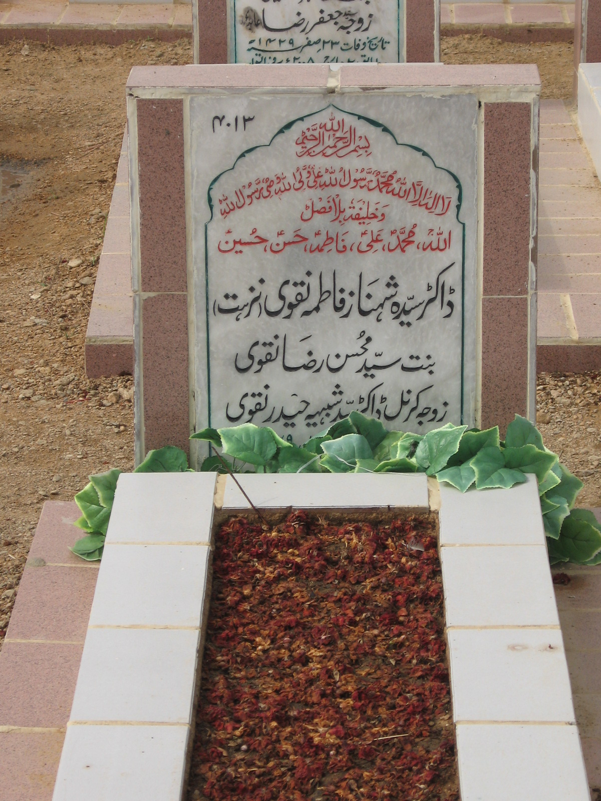 4013 – Dr. Syed Shenaz Fatima Naqvi