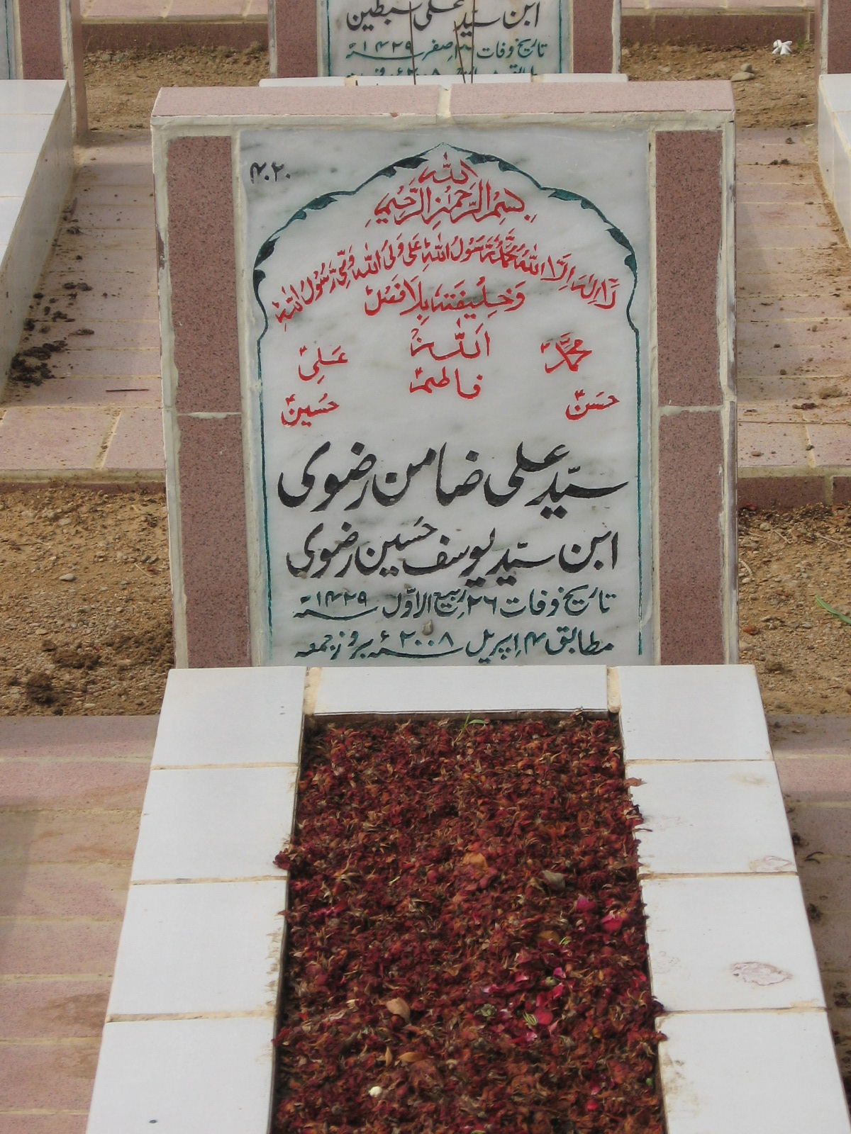 4020 – Syed Ali Zamin Rizvi