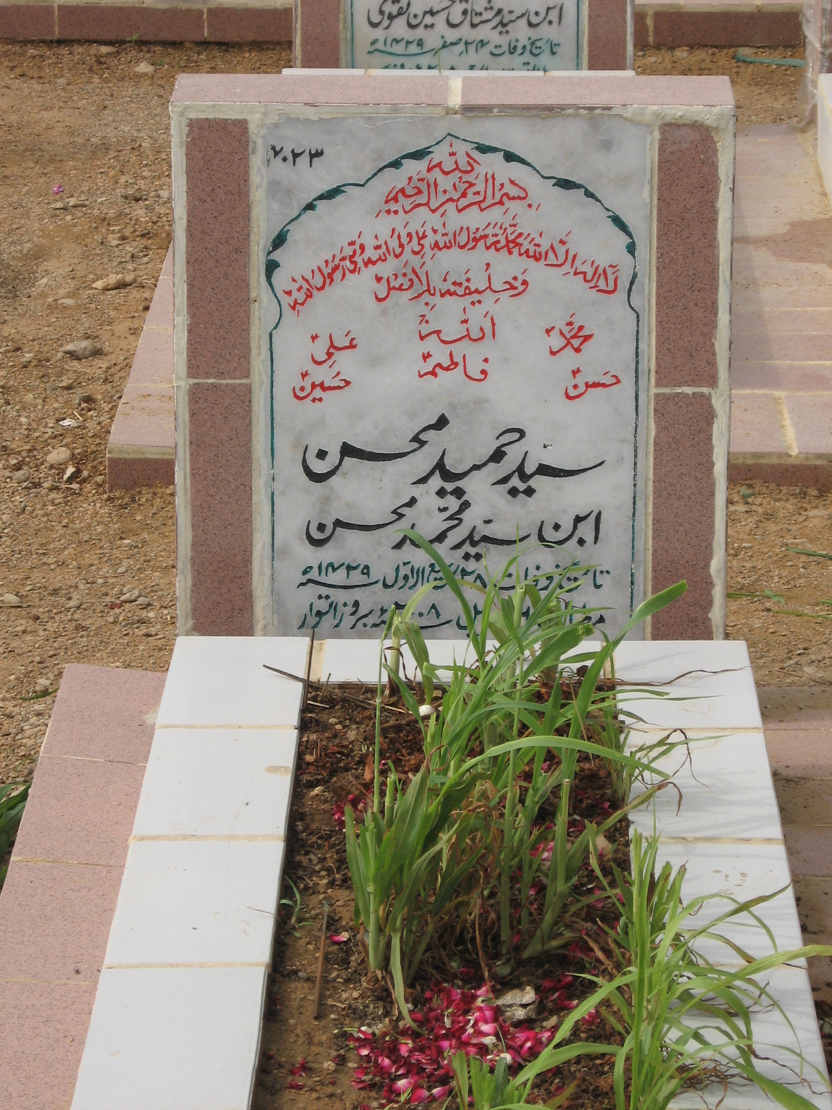 4023 – Syed Hameed Mohsin