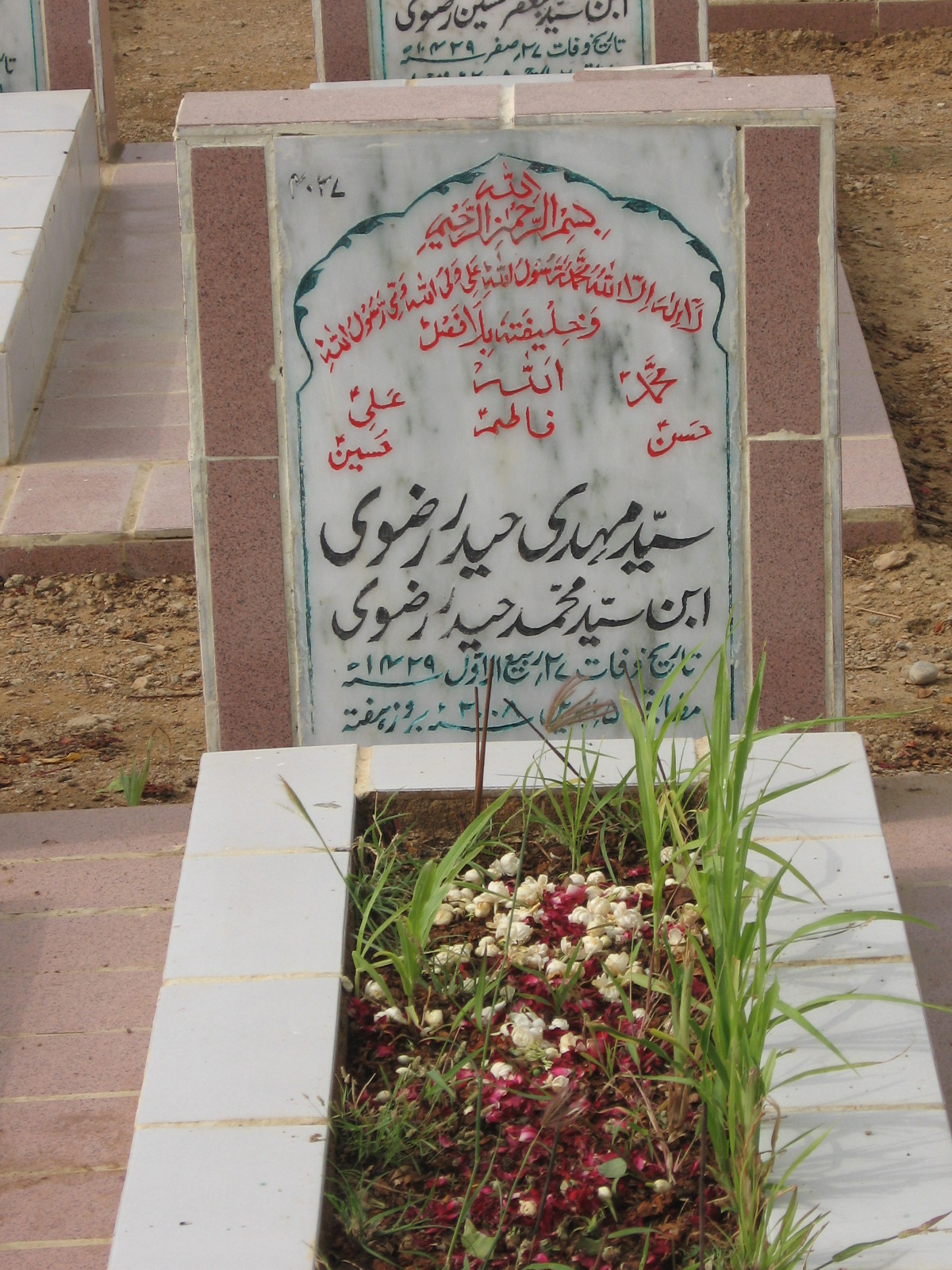 4027 – Syed Mehdi Haider Rizvi