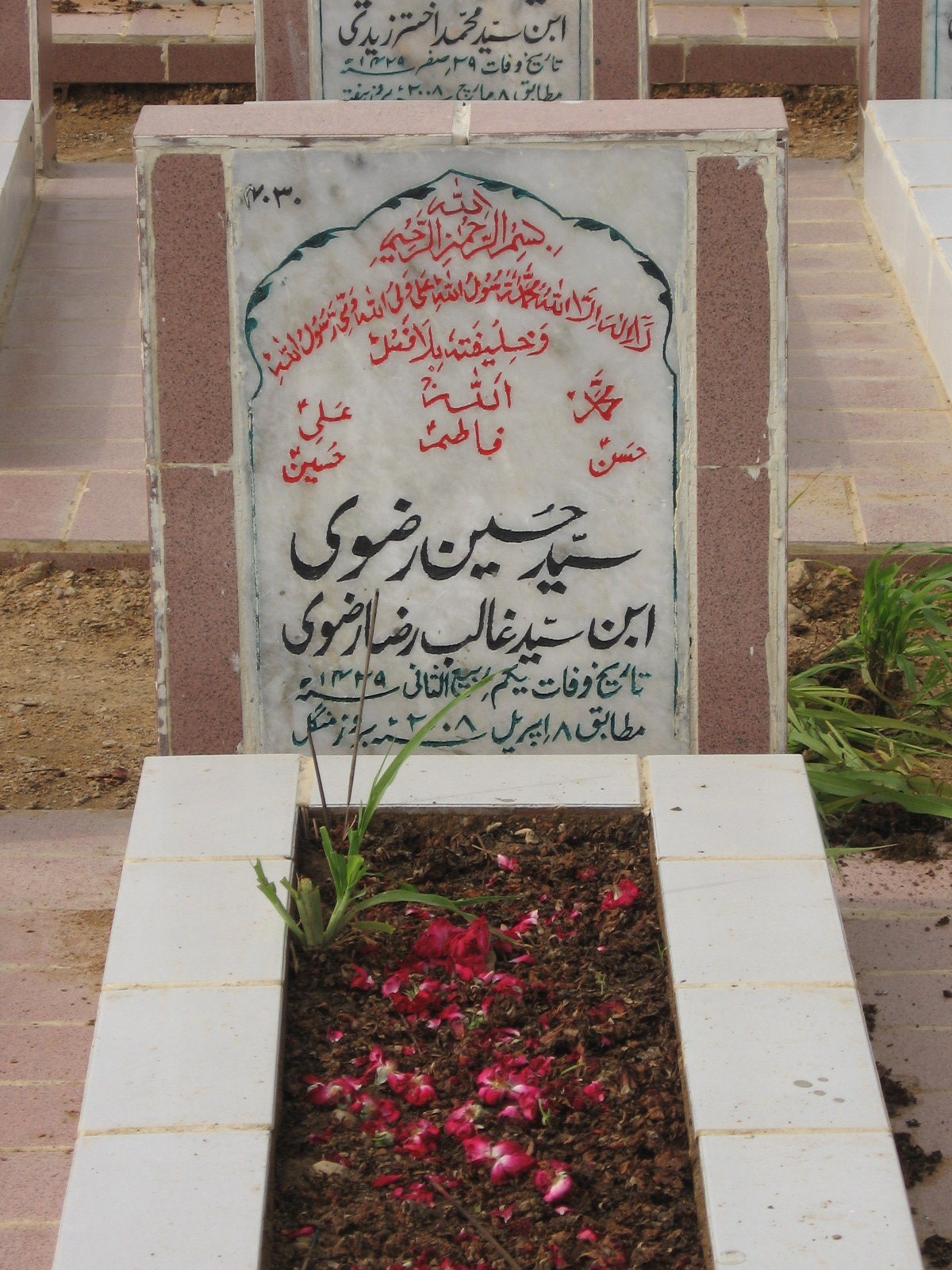 4030 – Syed Hussain Rizvi