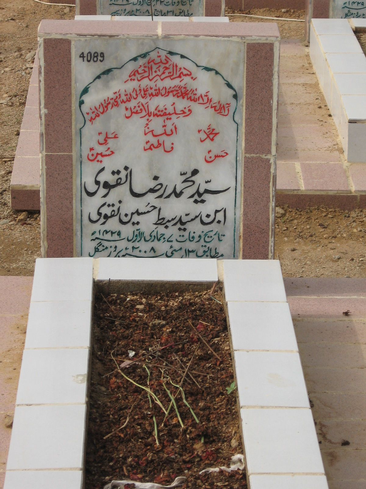 4089 – Syed Mohammad Raza Naqvi