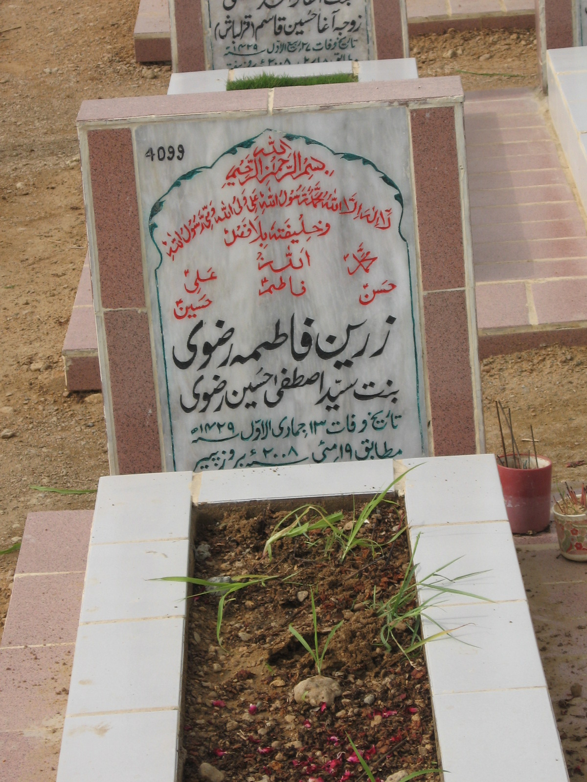 4099 – Zareen Fatima Rizvi