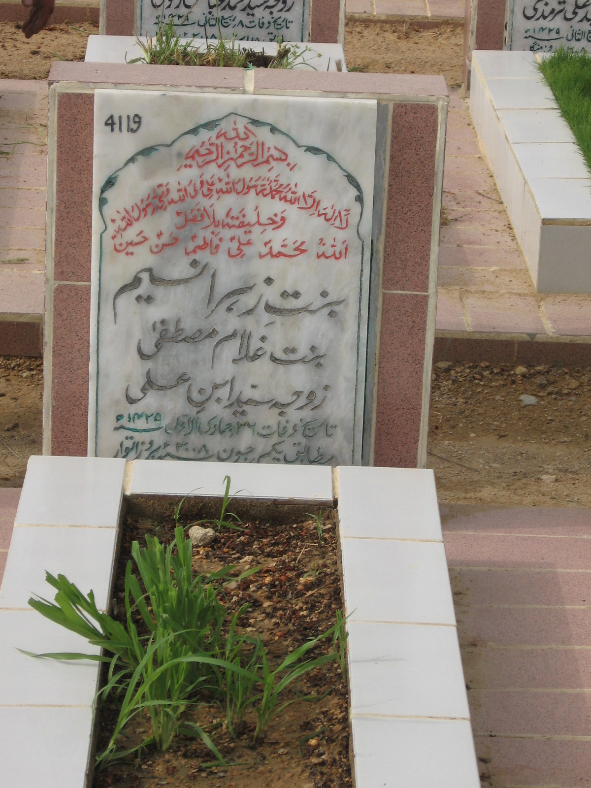 4119 – Bintey Zehra Naseem