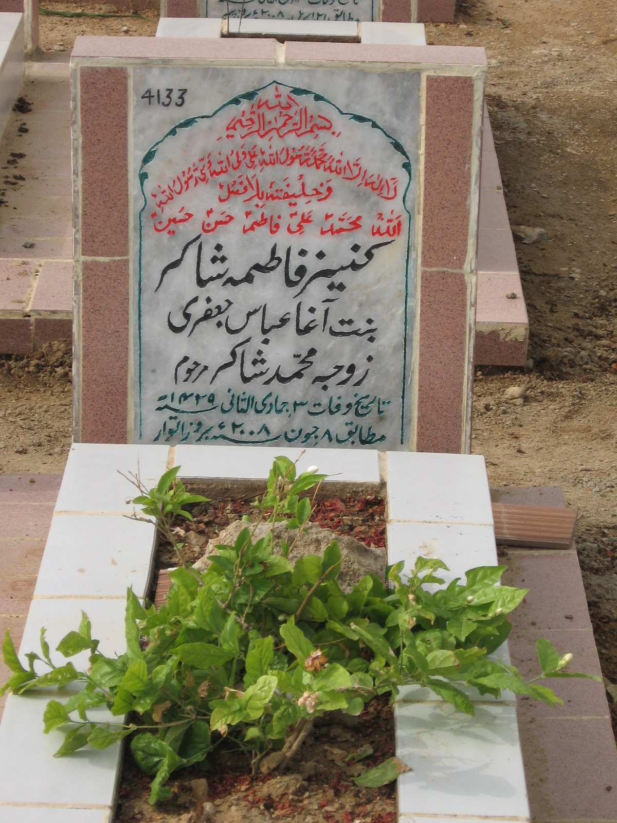 4133 – Kaneez Fatima Shakir